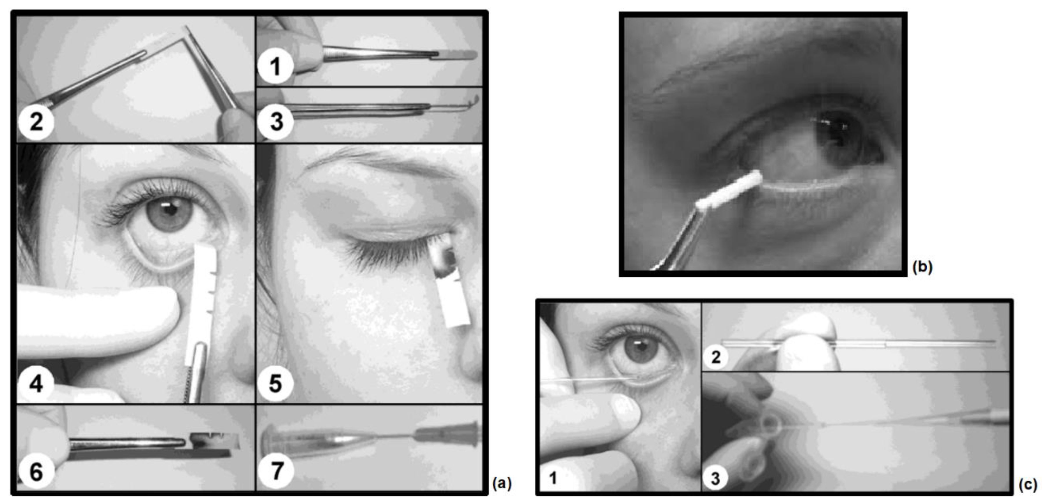 Biosensors 12 00827 g001