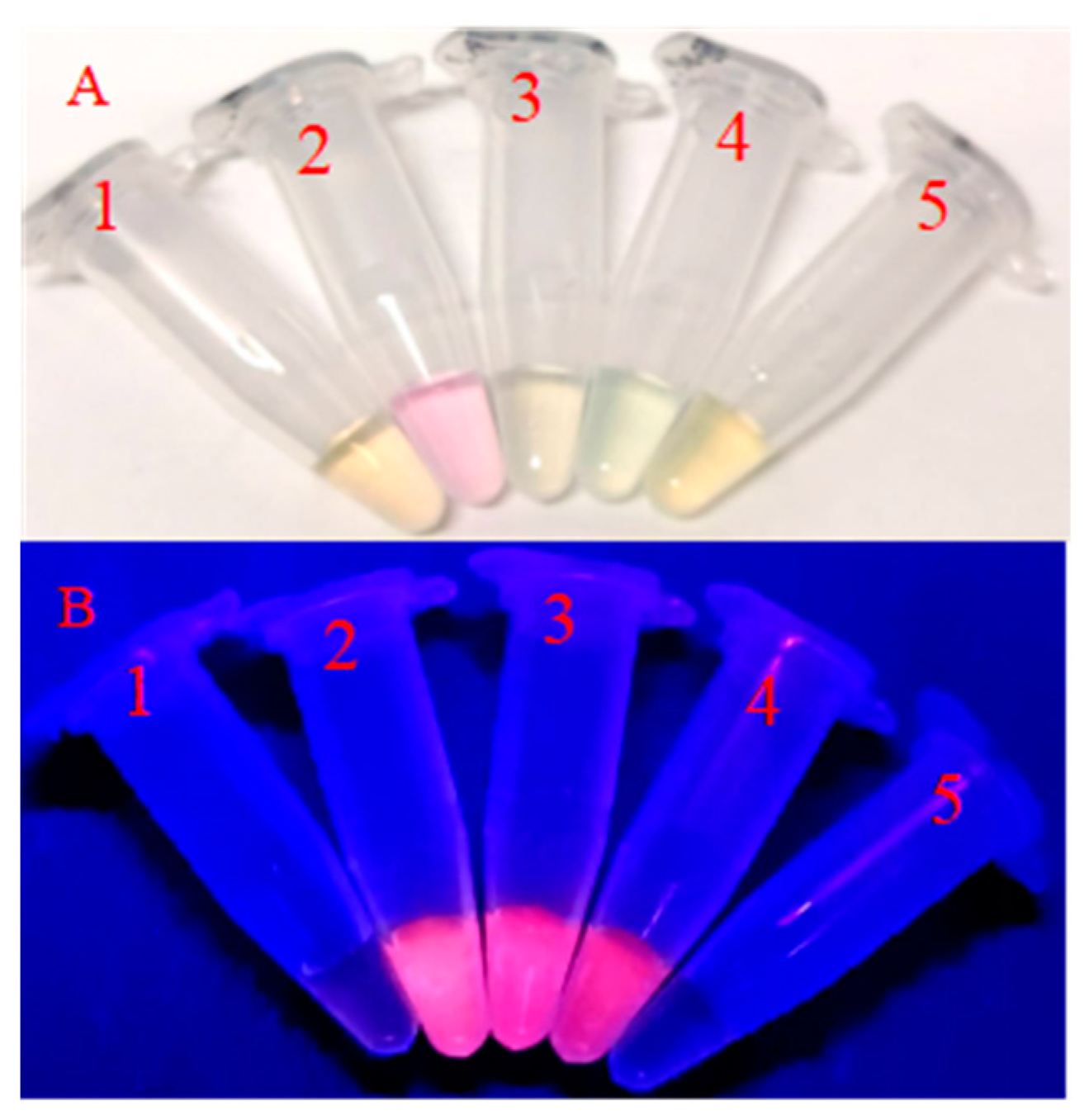 Biosensors 12 00832 g003 Biosensors 12 00832 g003