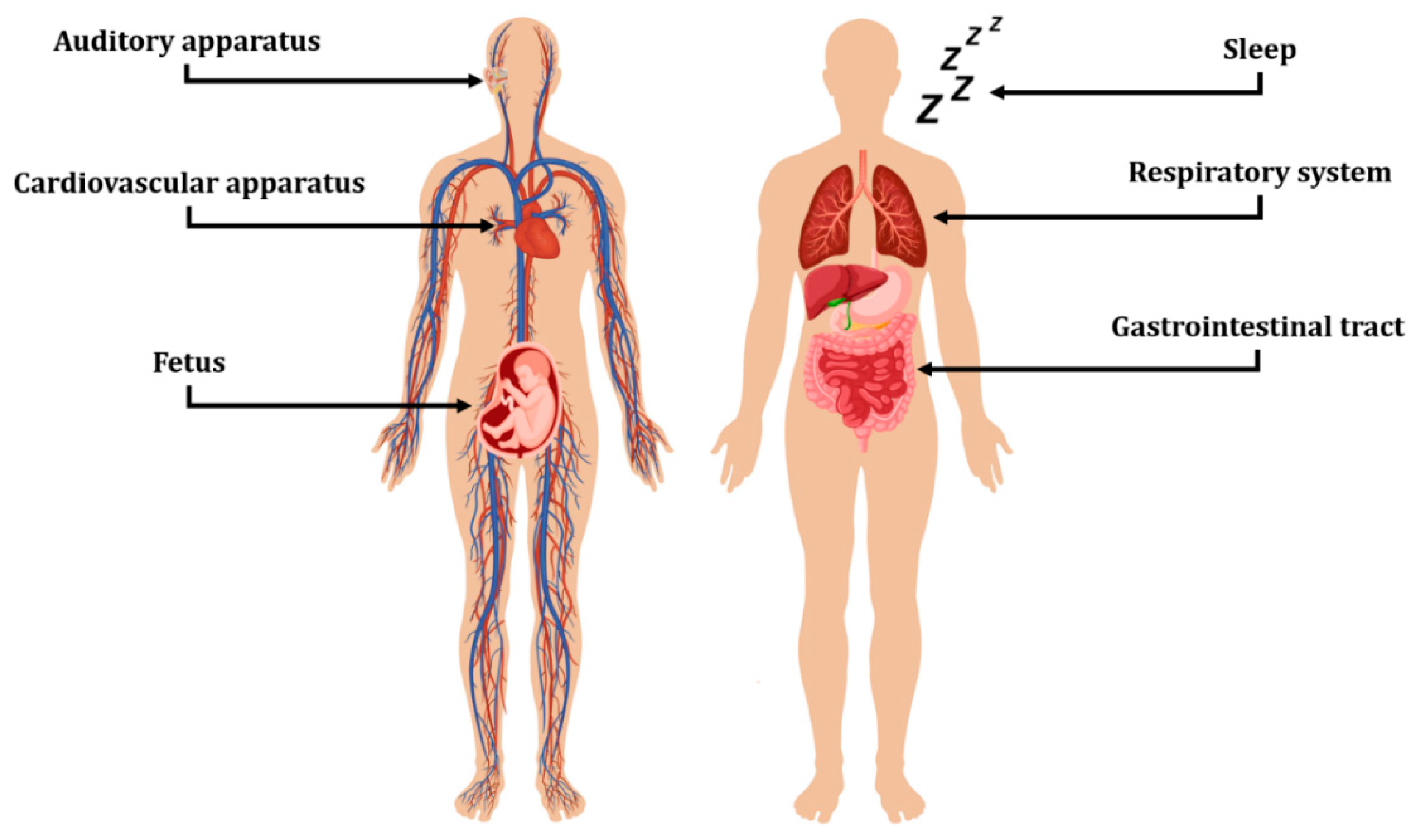 Biosensors 12 00835 g001