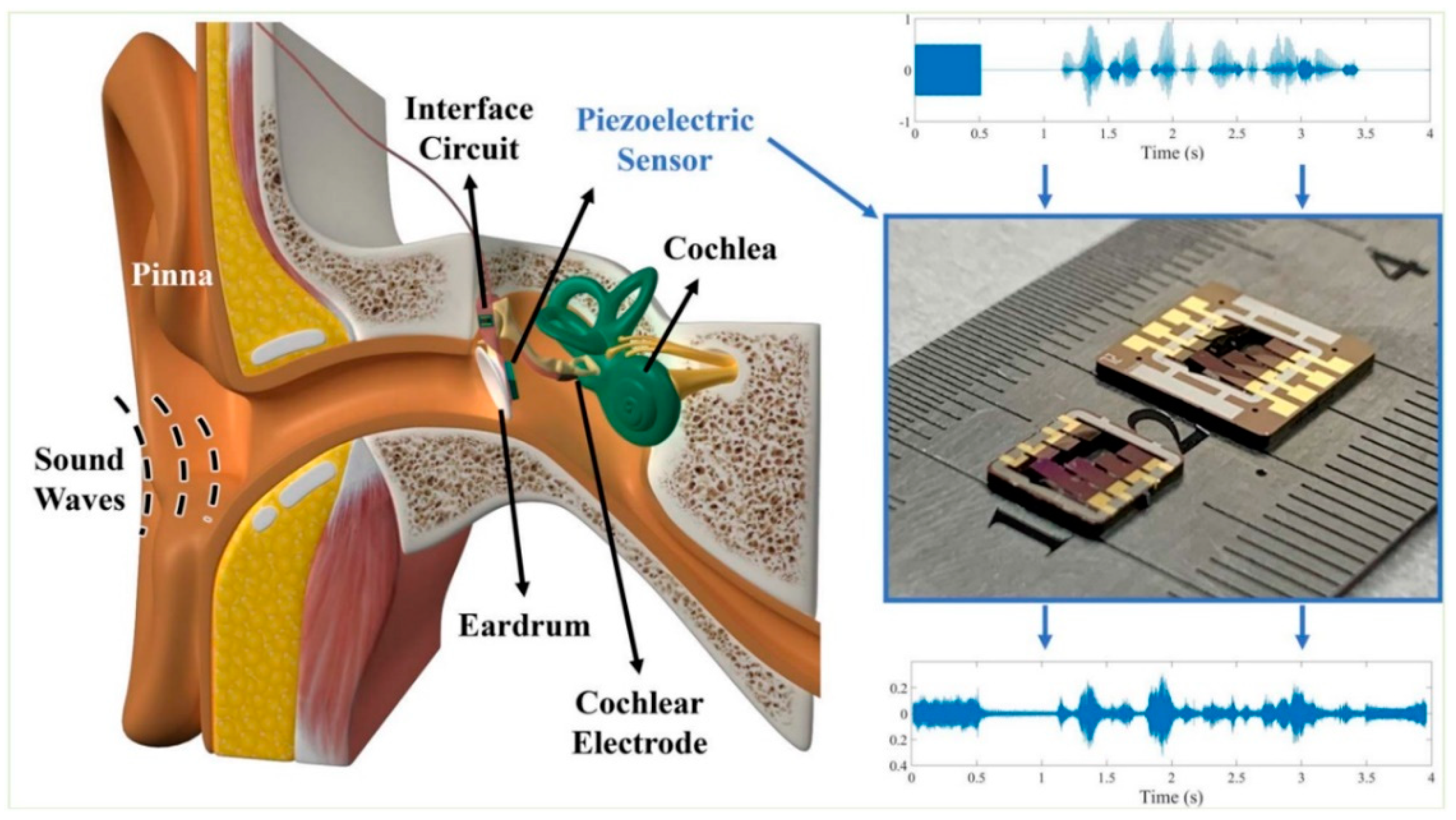 Biosensors 12 00835 g007