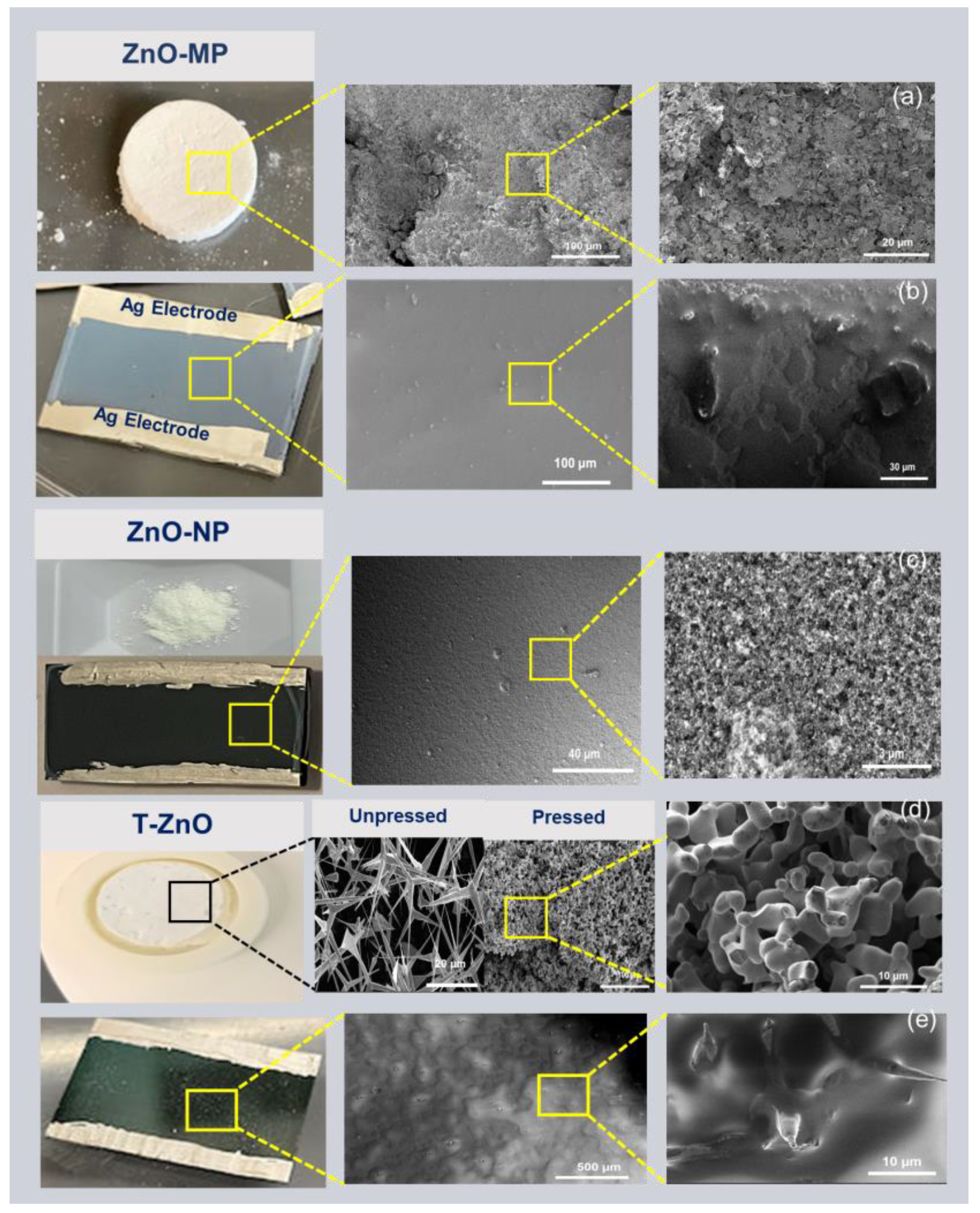 Biosensors 12 00837 g001
