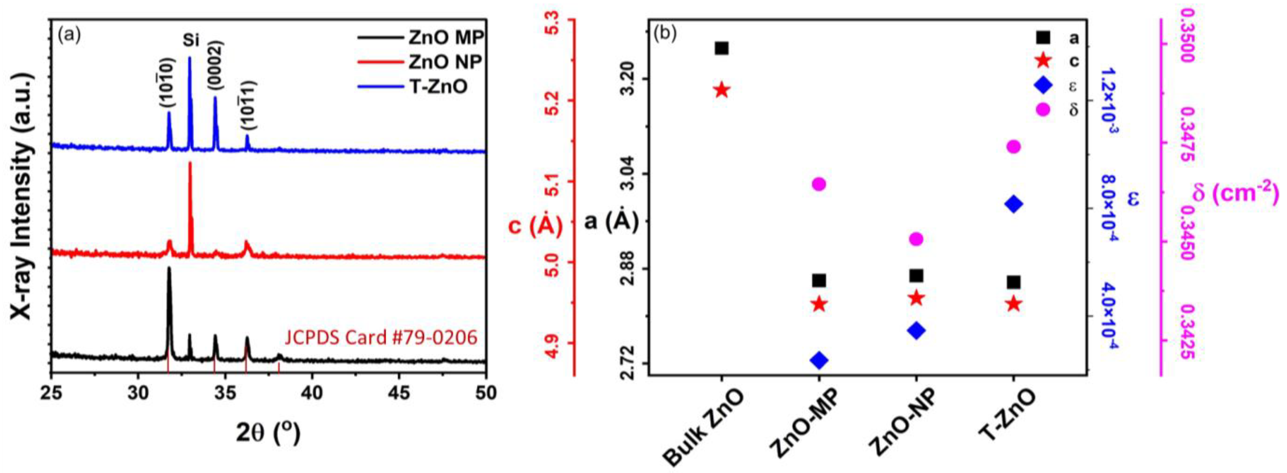 Biosensors 12 00837 g002