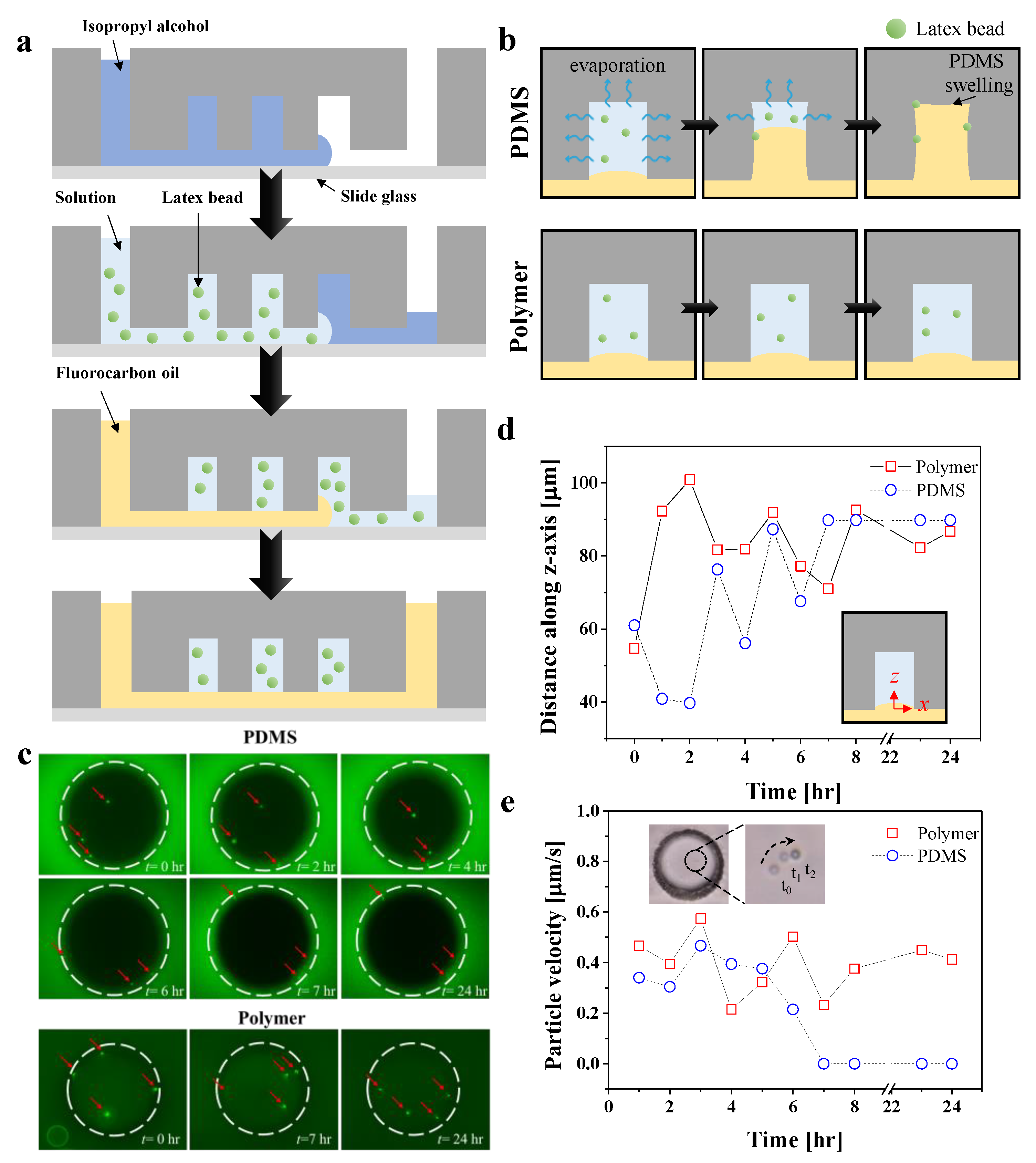 Biosensors 12 00838 g005