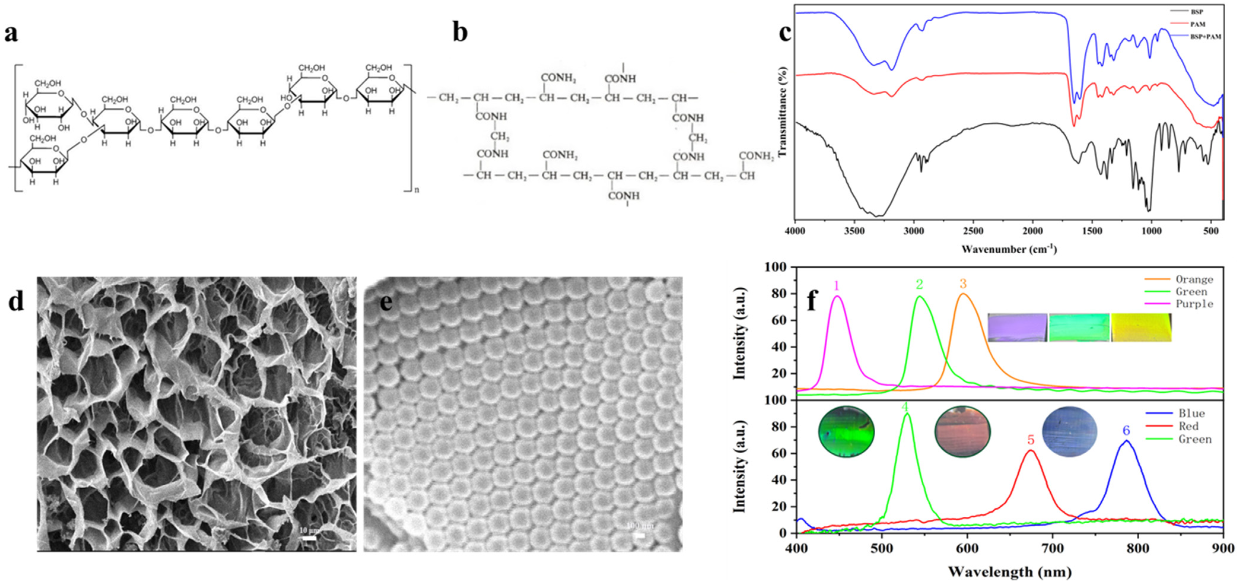Biosensors 12 00841 g001