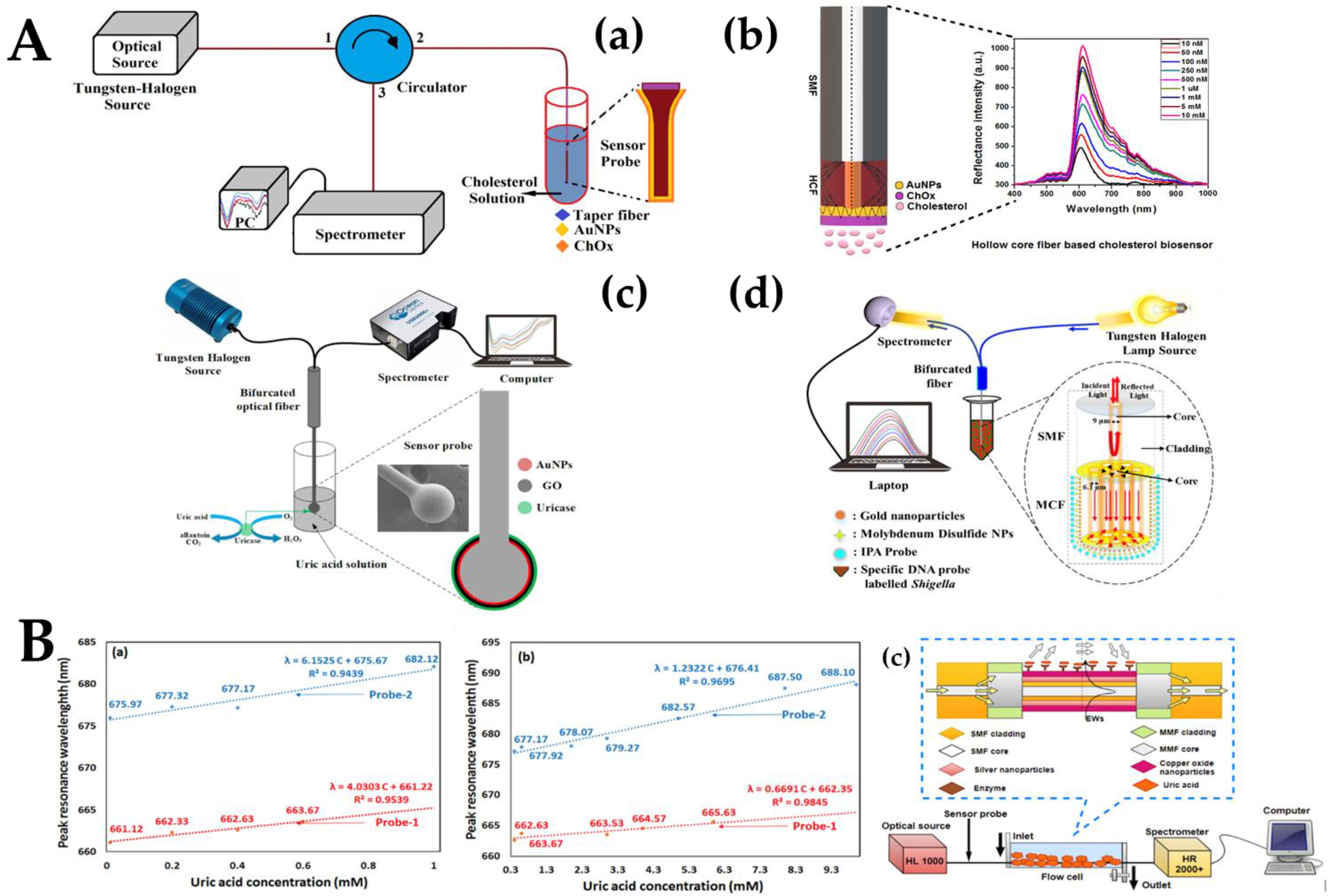 Biosensors 12 00843 g004