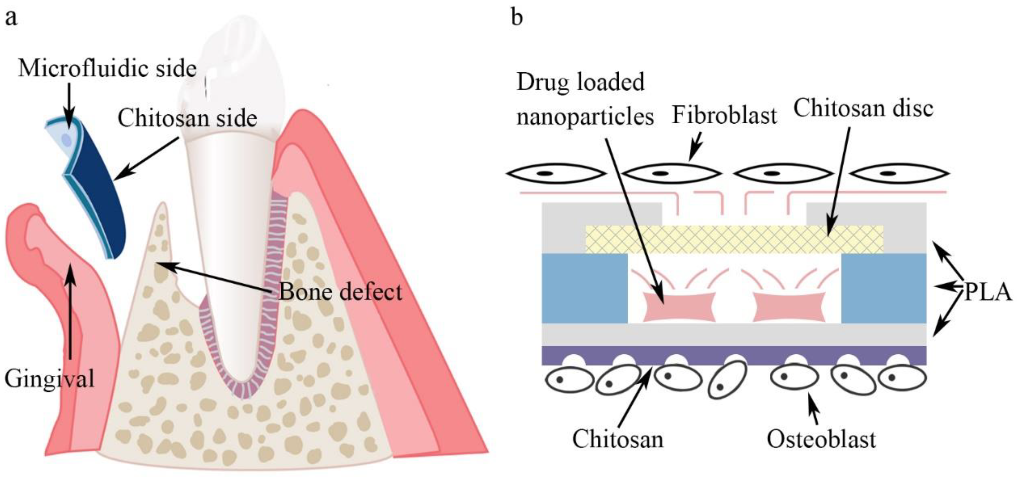 Biosensors 12 00847 g001