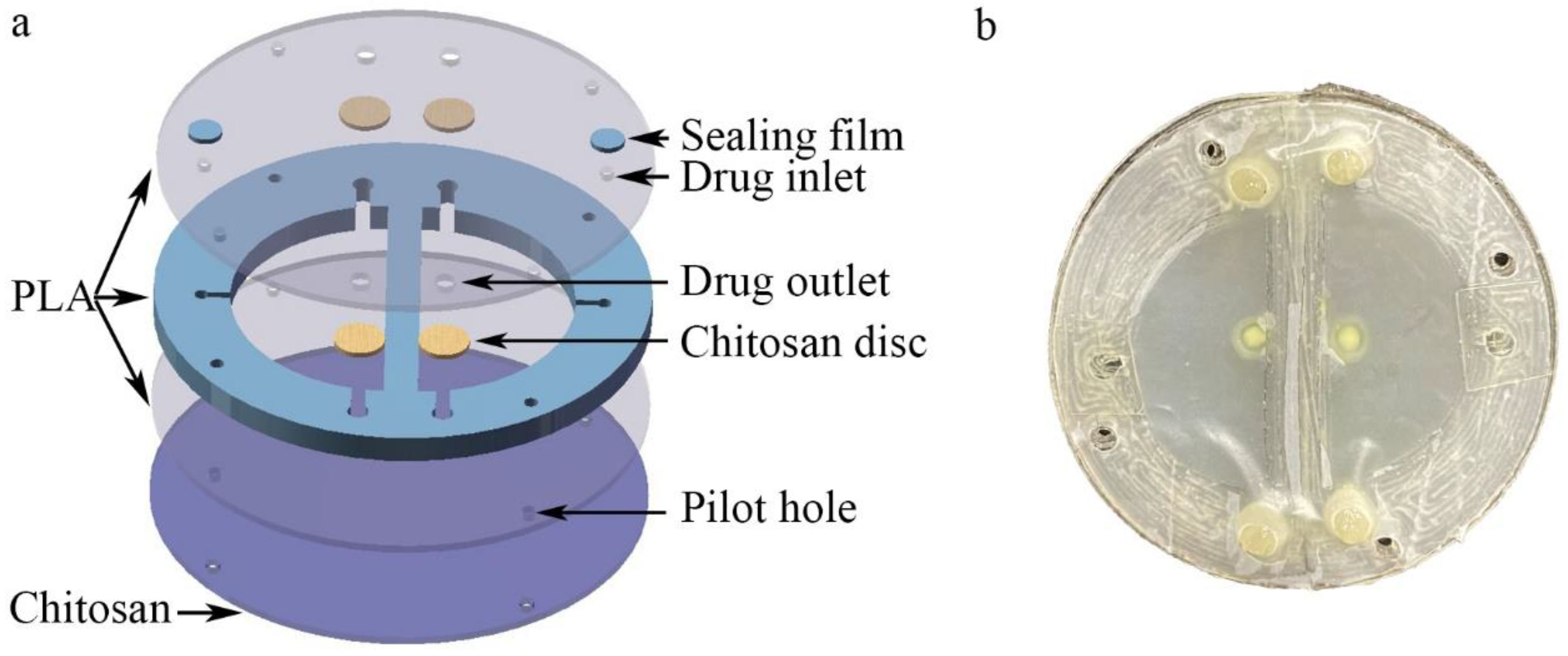 Biosensors 12 00847 g002