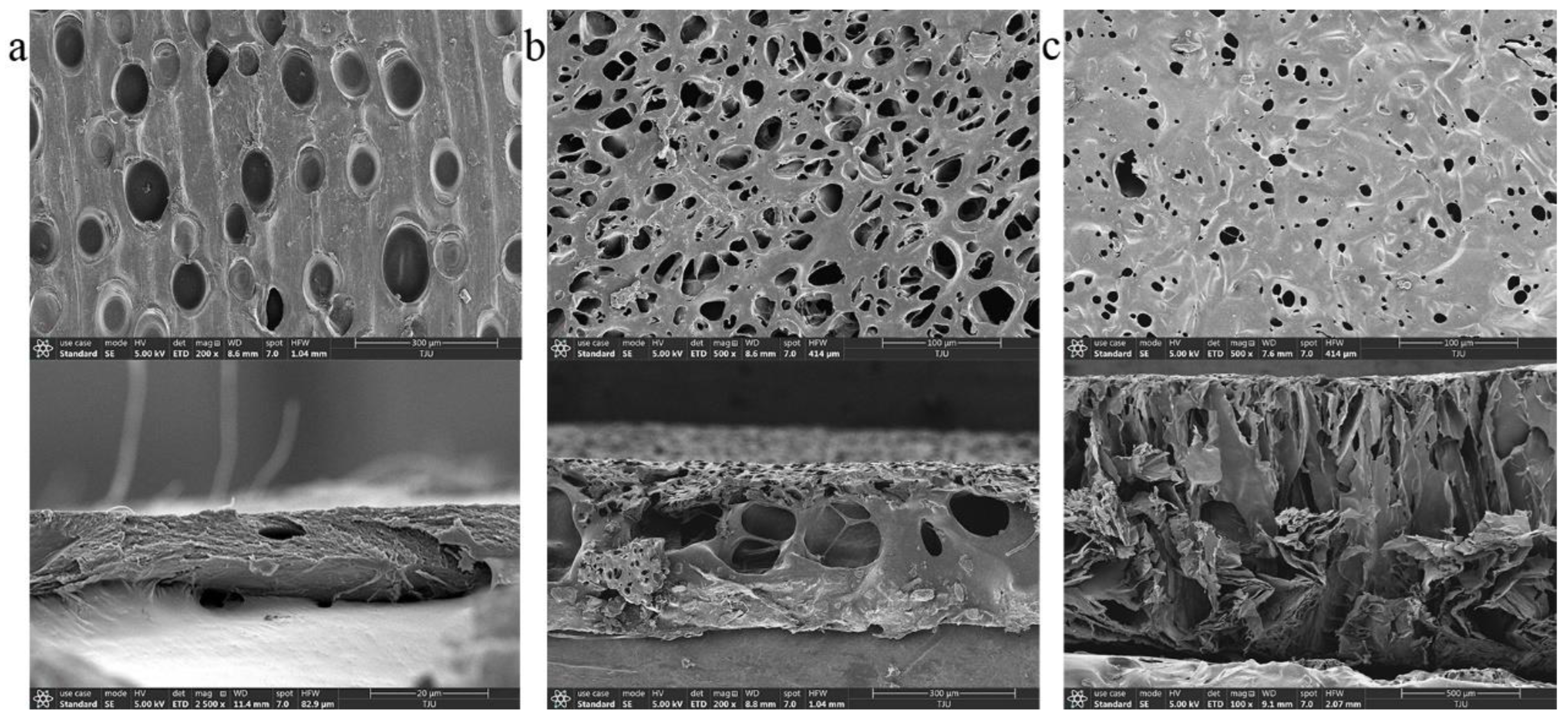 Biosensors 12 00847 g003