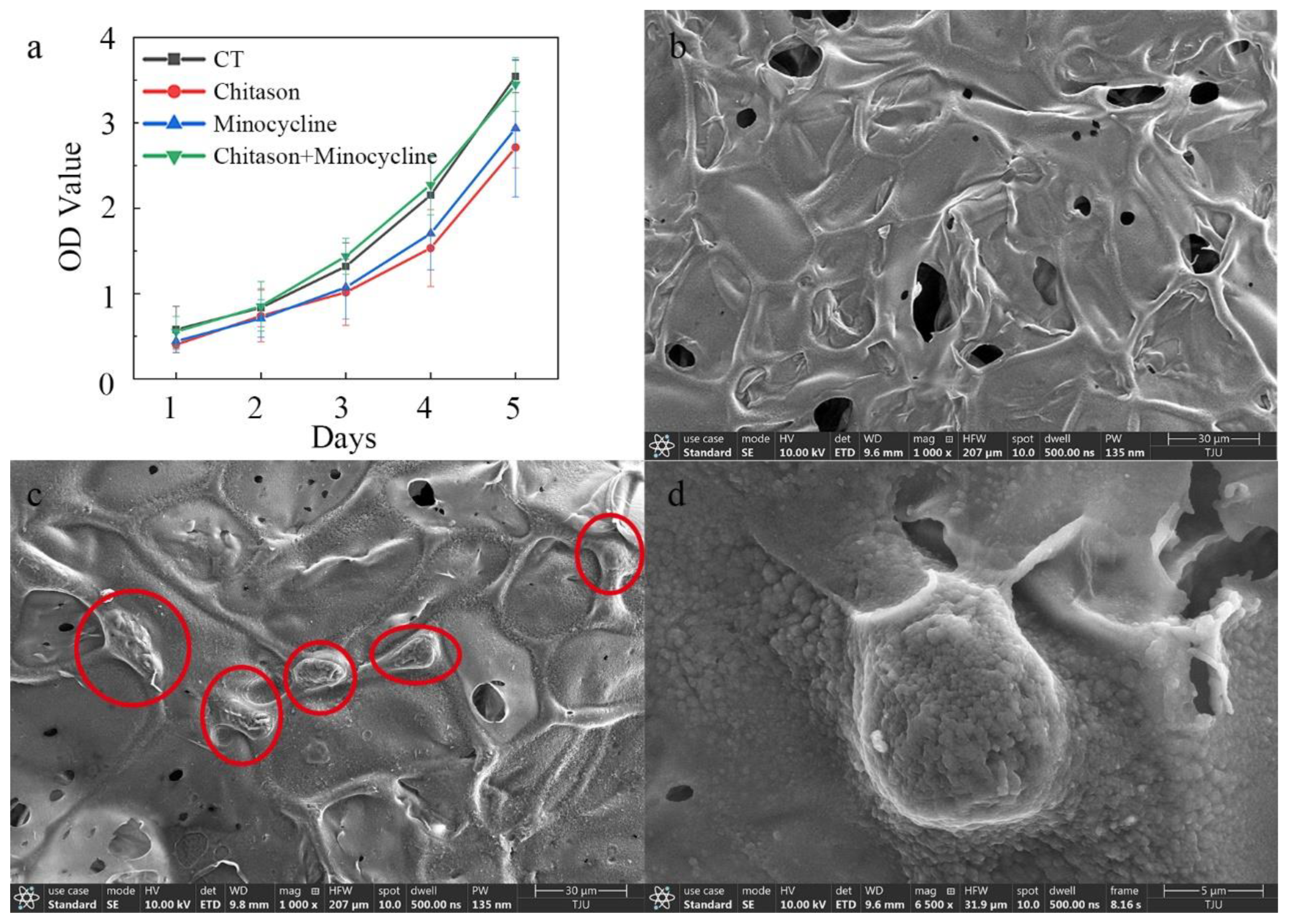 Biosensors 12 00847 g008