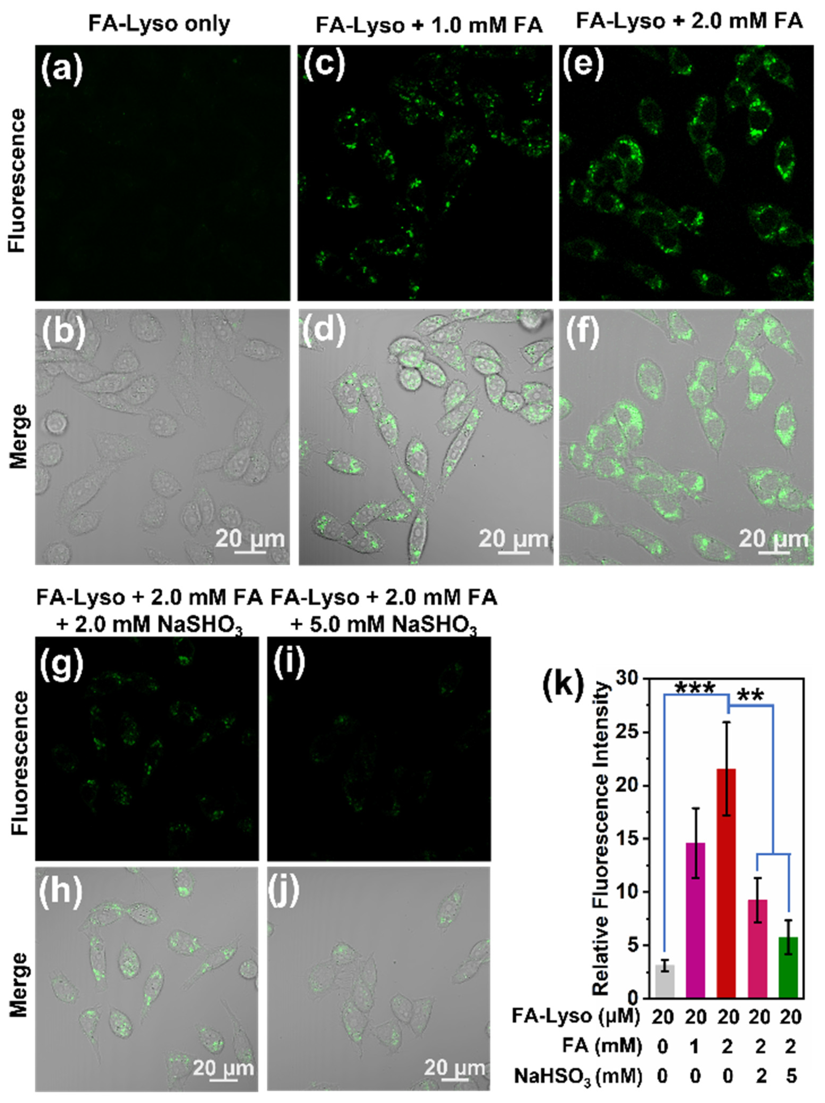 Biosensors 12 00855 g004