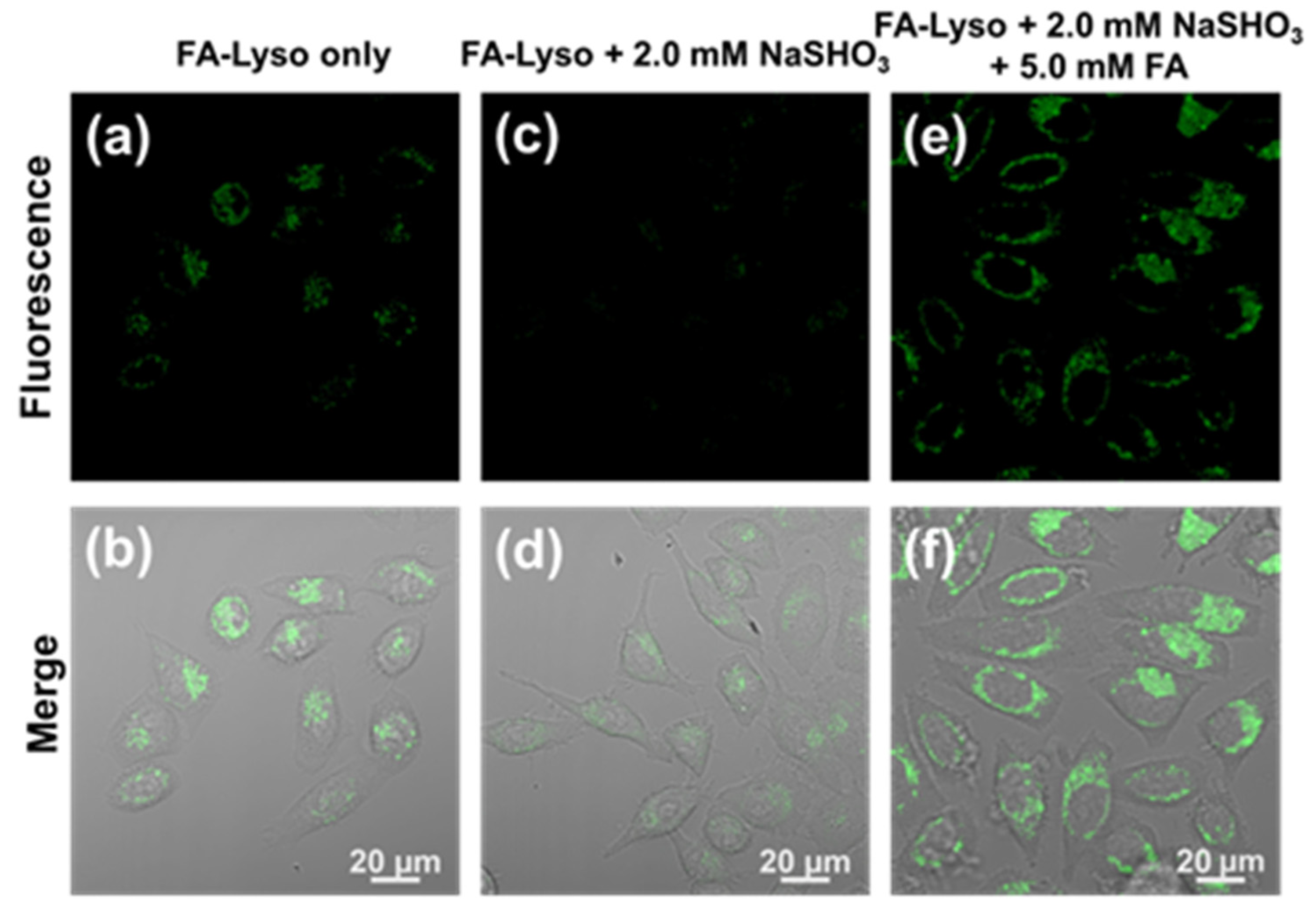 Biosensors 12 00855 g005