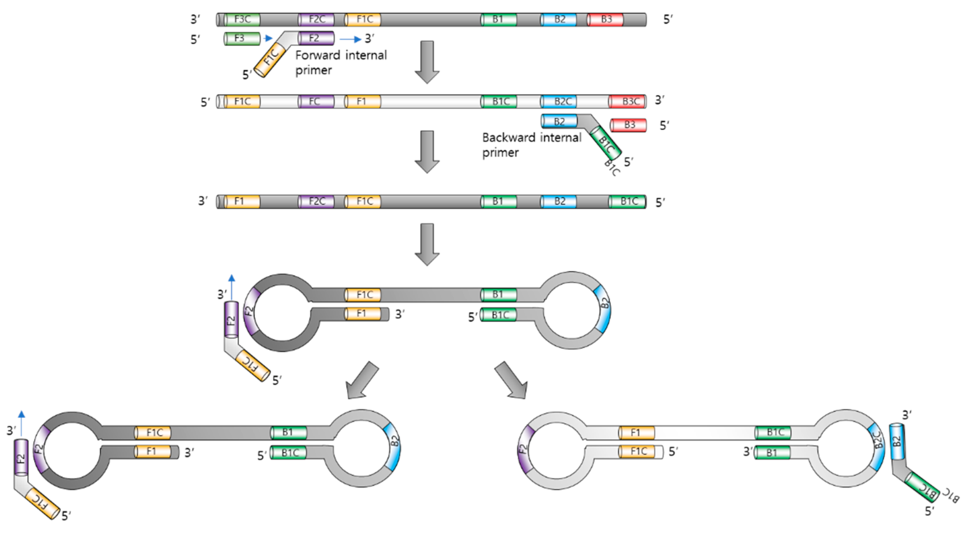 Biosensors 12 00857 g001