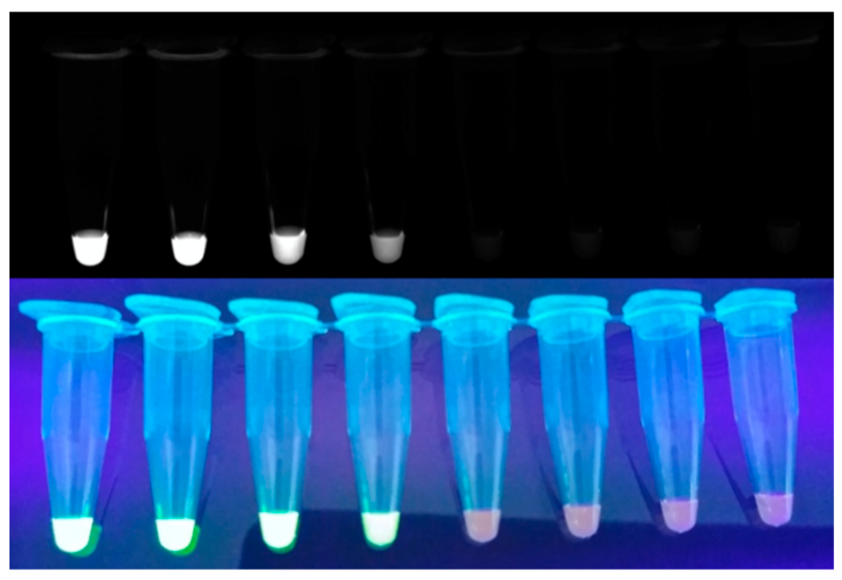 Biosensors 12 00857 g003