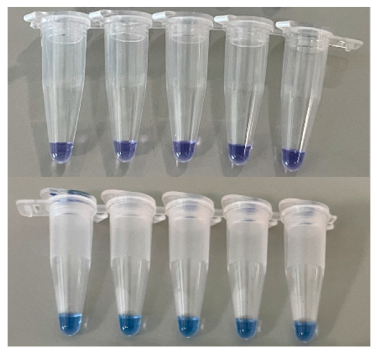 Biosensors 12 00857 g004