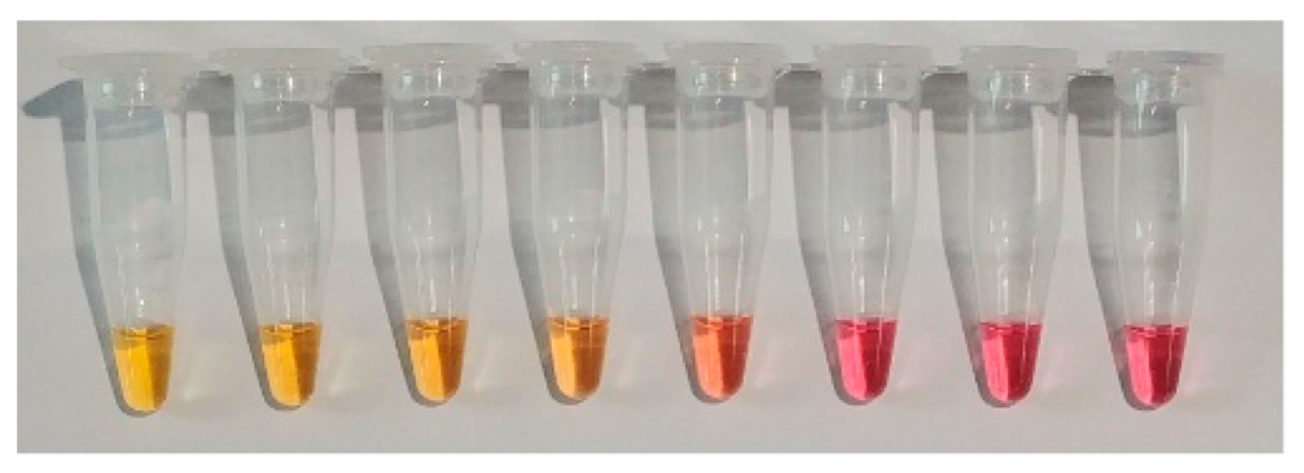 Biosensors 12 00857 g006