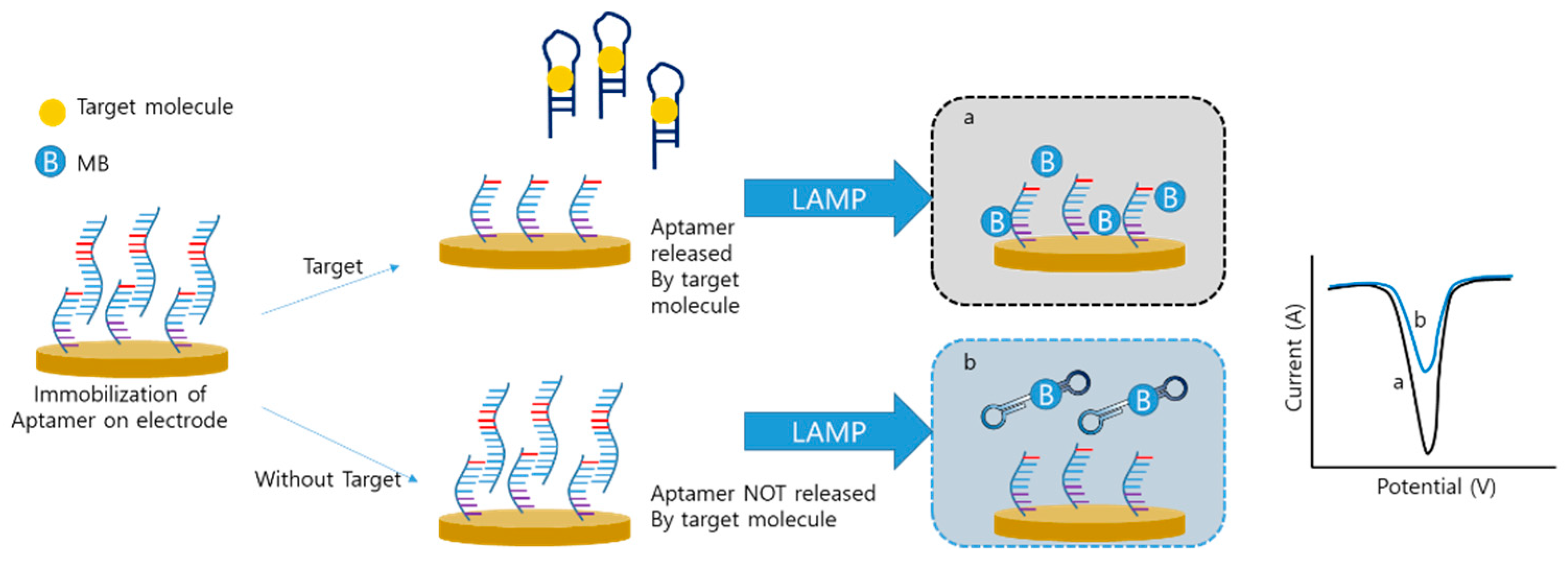 Biosensors 12 00857 g007