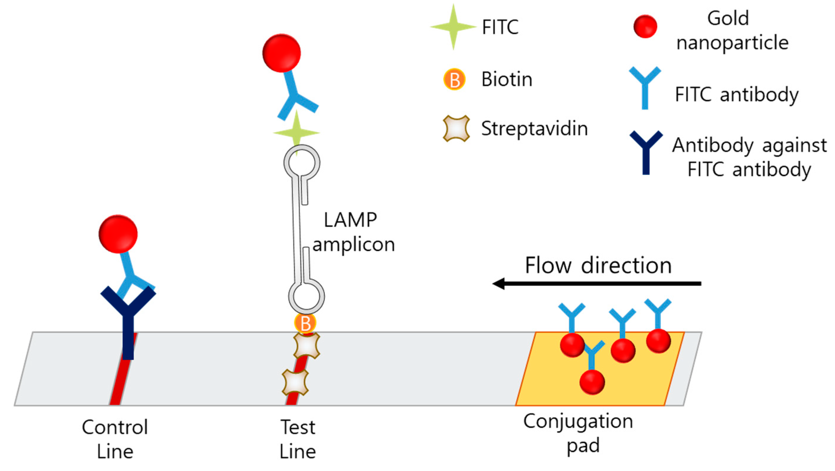 Biosensors 12 00857 g008