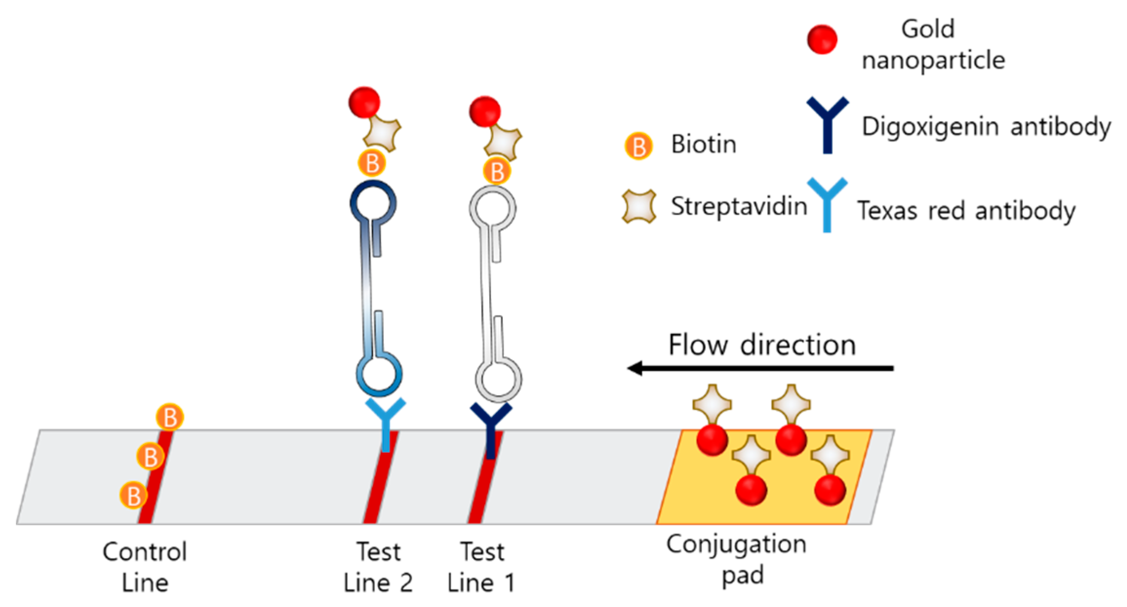 Biosensors 12 00857 g009