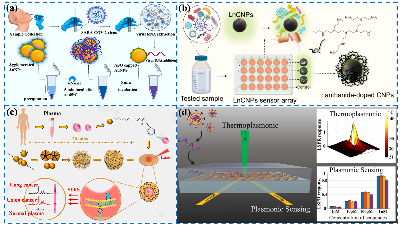 Biosensors 12 00862 g001