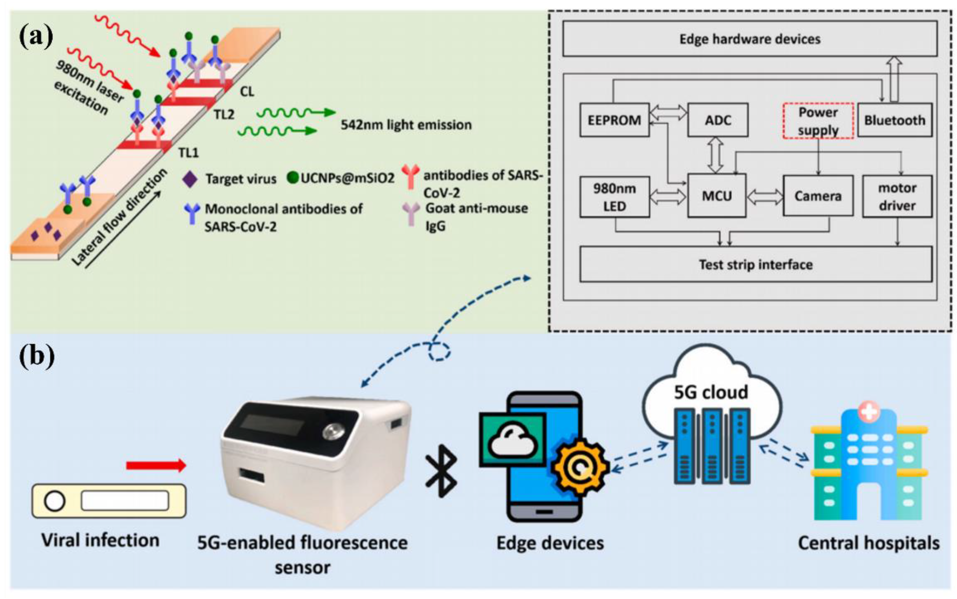 Biosensors 12 00862 g003