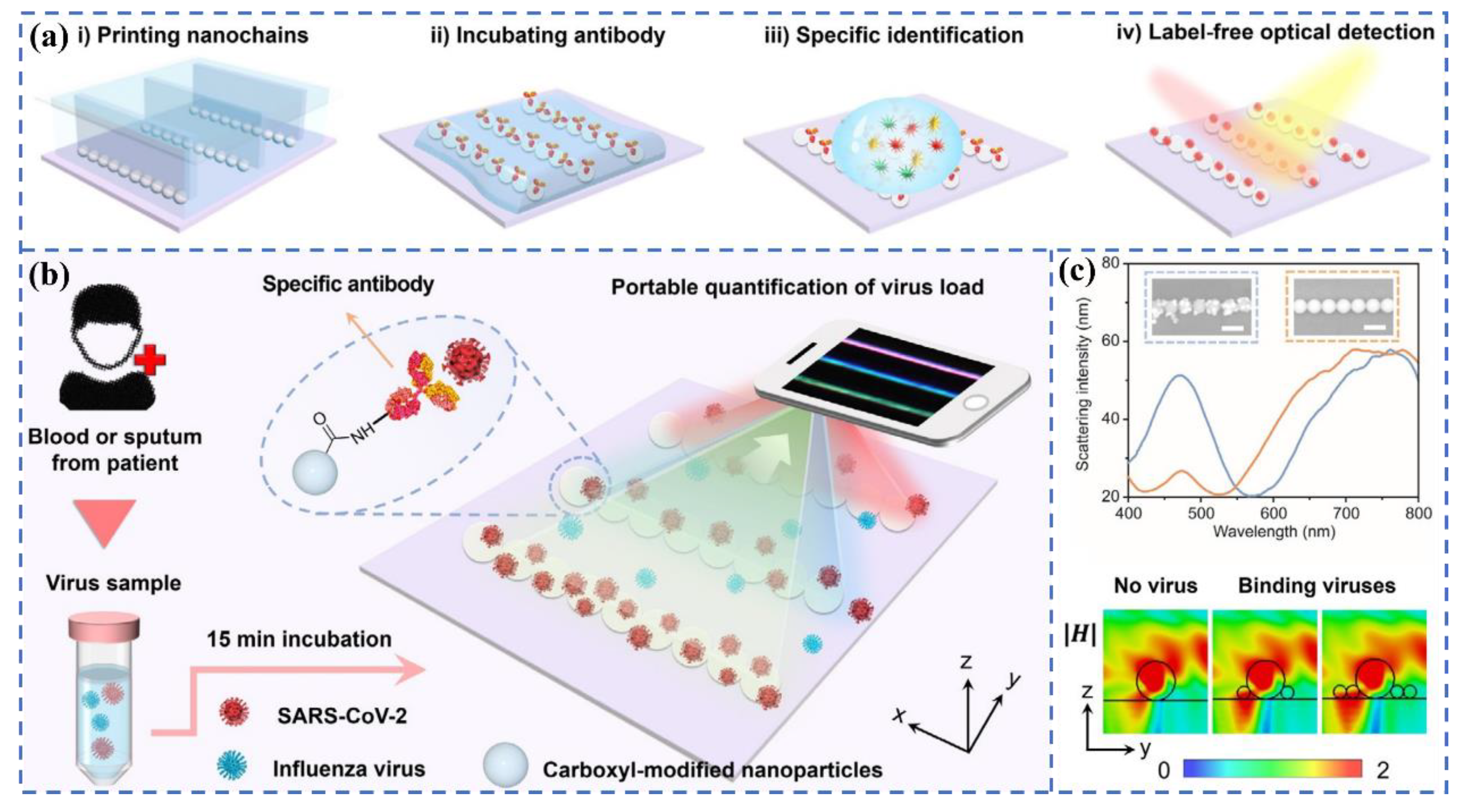 Biosensors 12 00862 g006