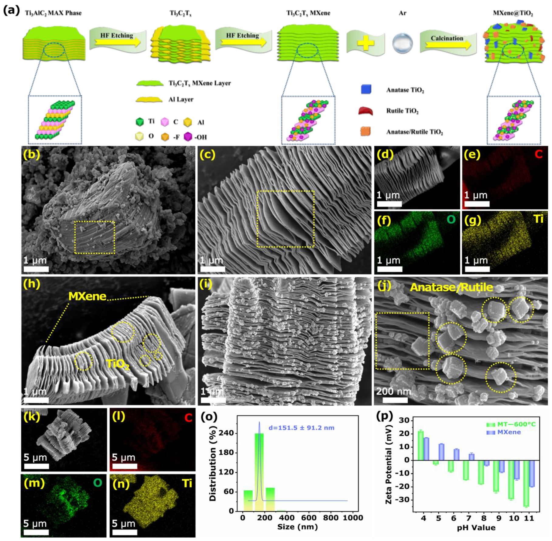Biosensors 12 00865 g001 Biosensors 12 00865 g001