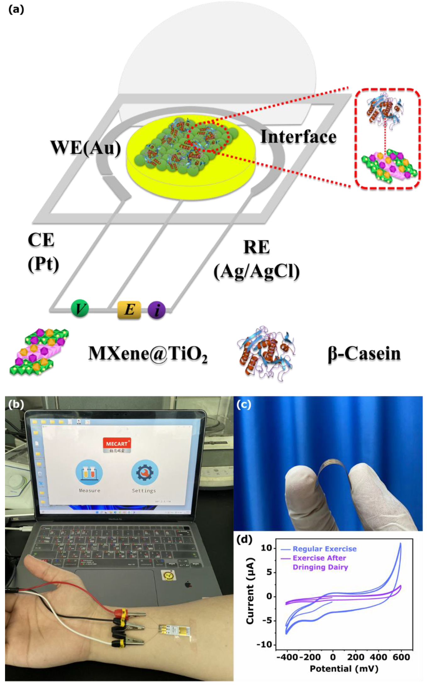 Biosensors 12 00865 g009 Biosensors 12 00865 g009