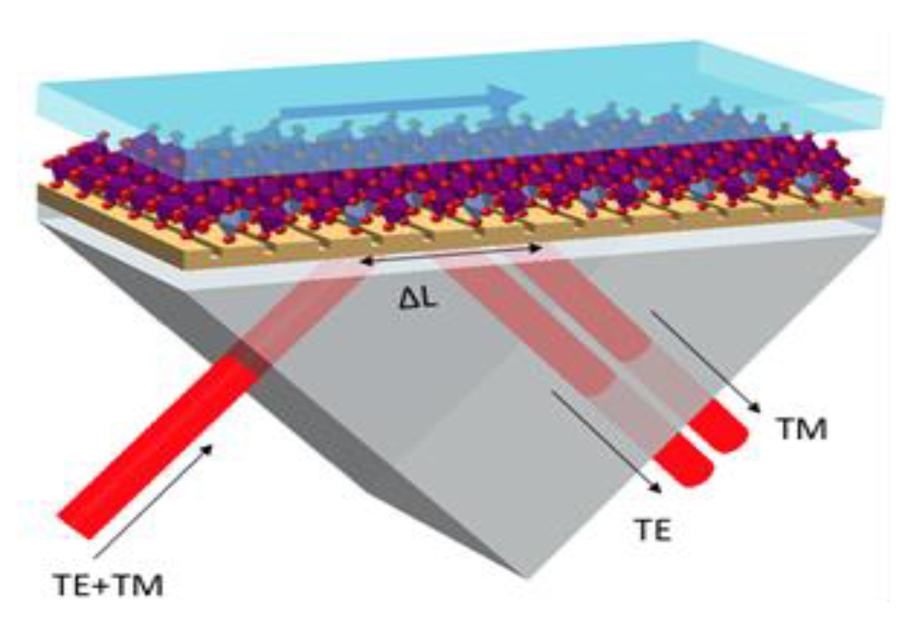 Biosensors 12 00866 g001