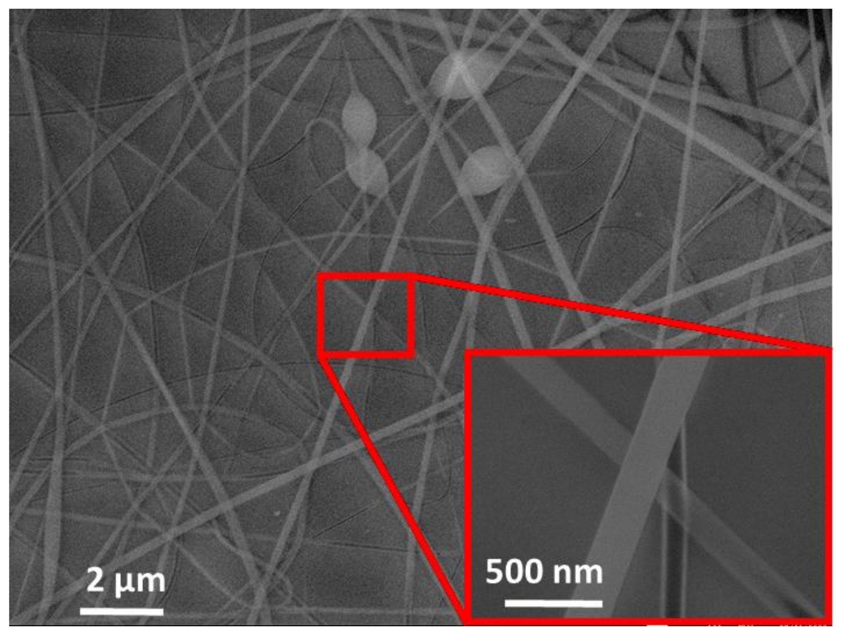 Biosensors 12 00871 g004