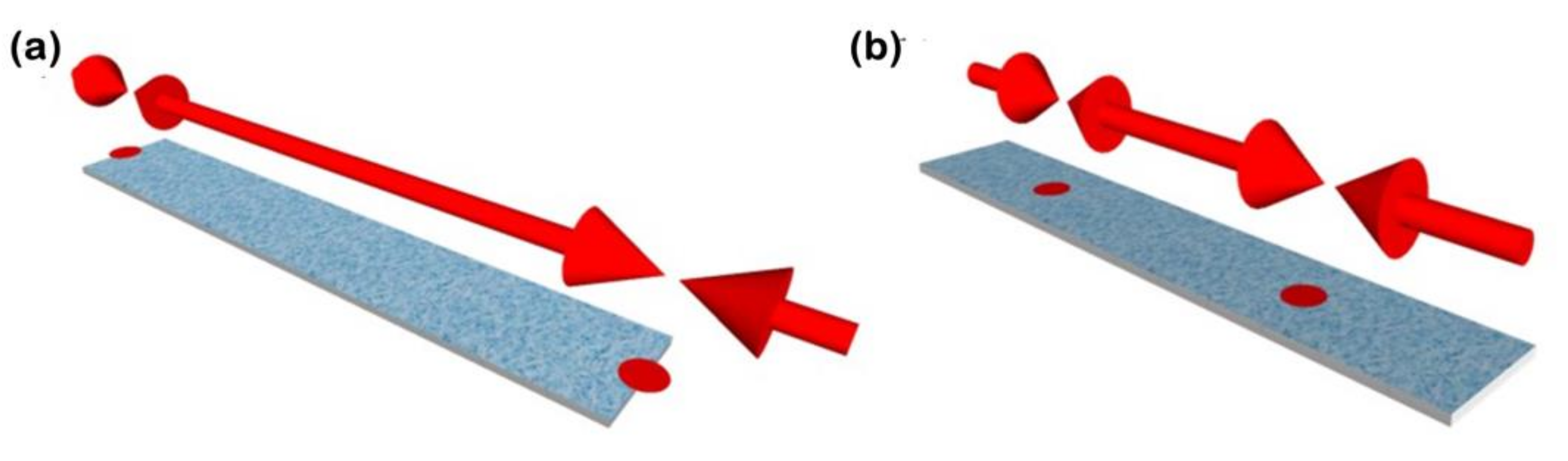 Biosensors 12 00871 g006
