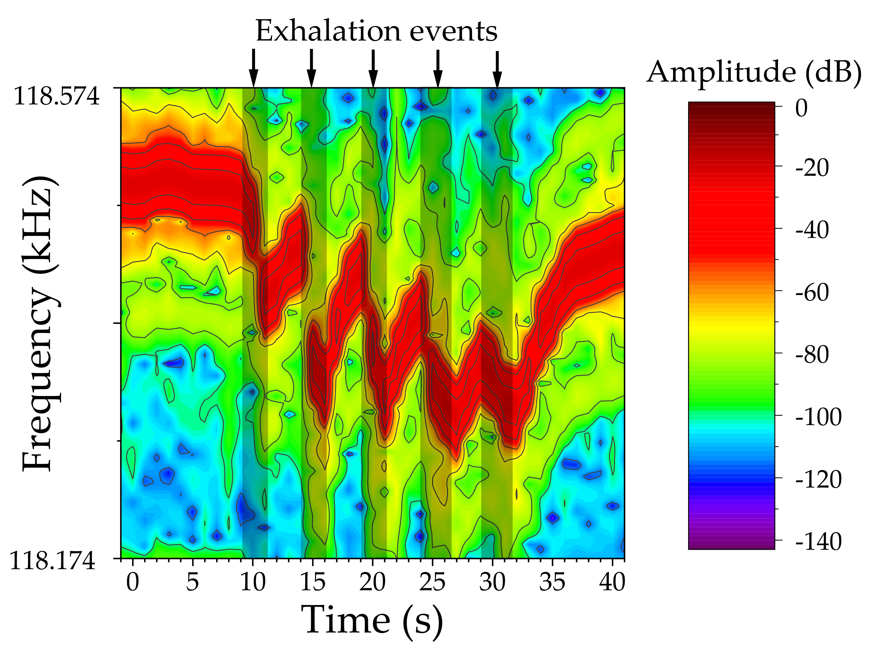 Biosensors 12 00871 g010