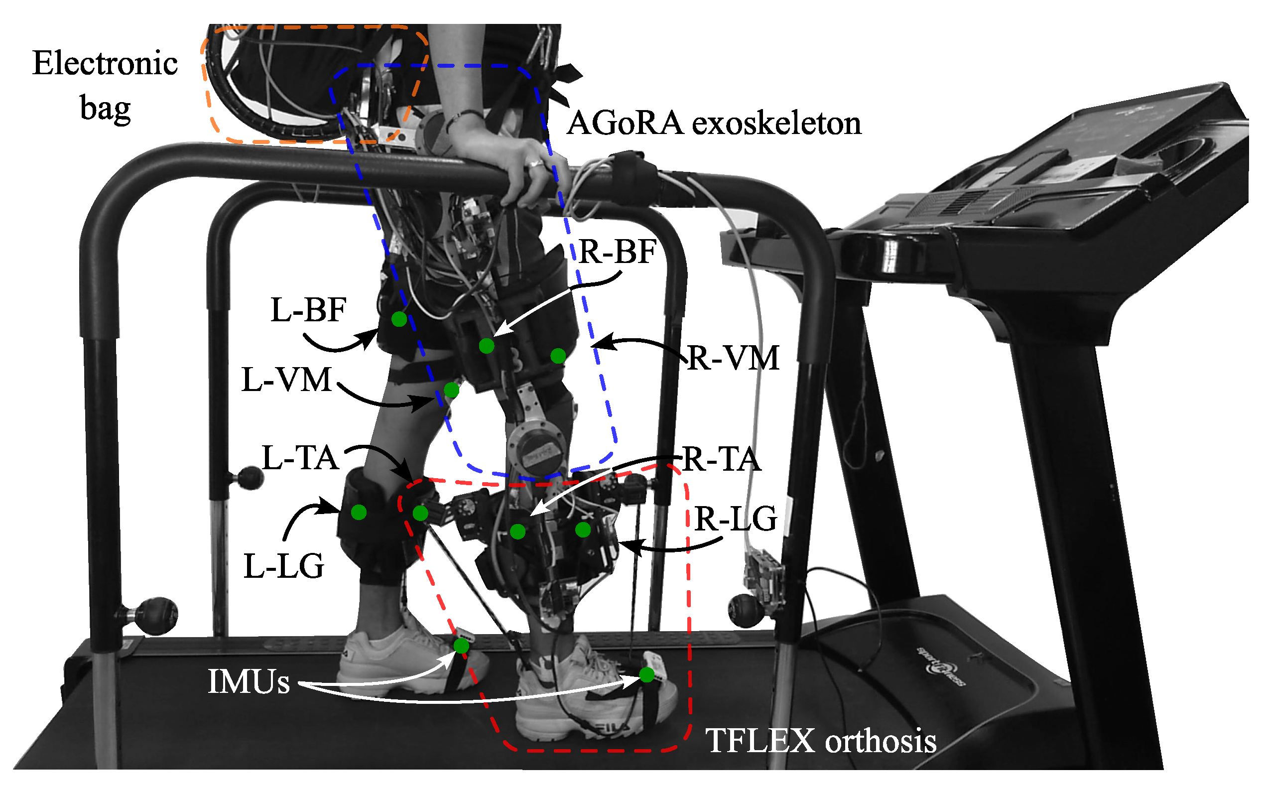 Biosensors 12 00873 g005