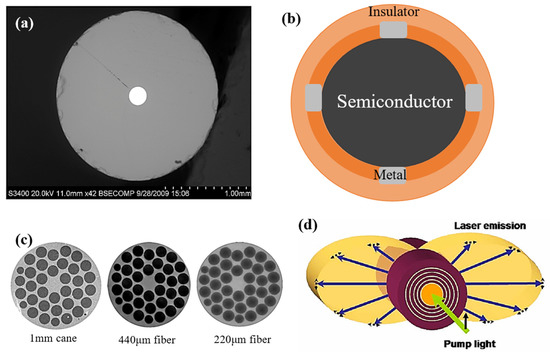 Biosensors 12 00882 g005