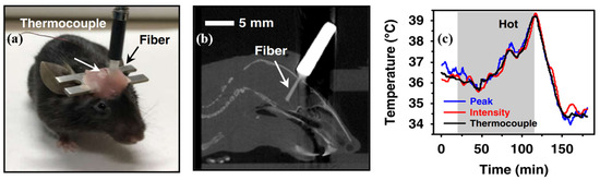 Biosensors 12 00882 g007