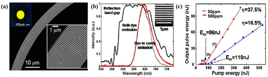 Biosensors 12 00882 g009