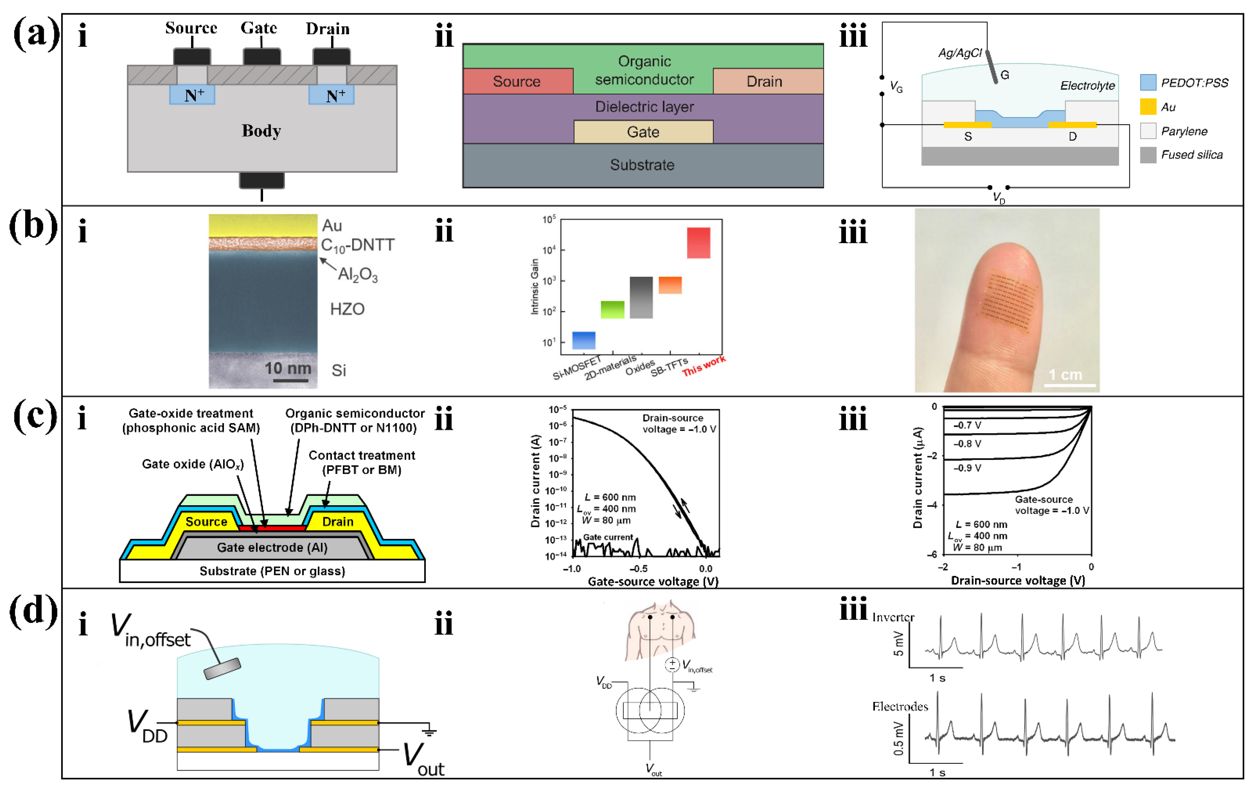 Biosensors 12 00889 g003