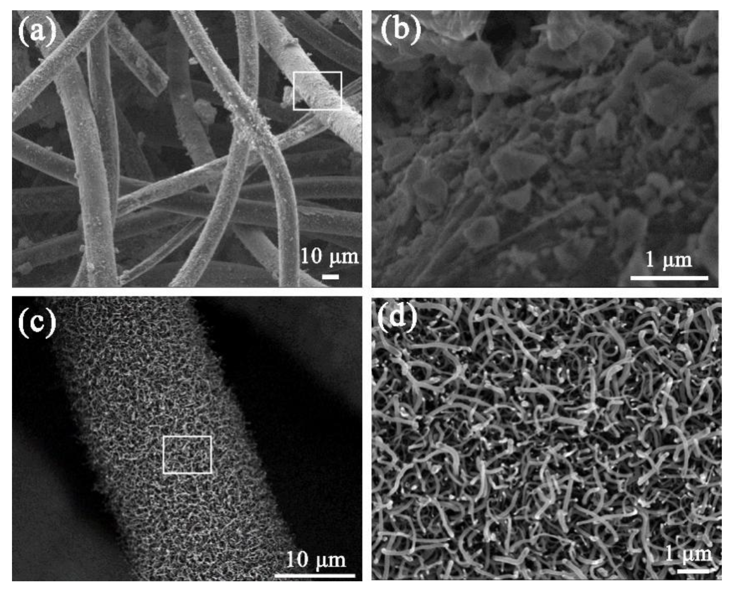 Biosensors 12 00897 g002 Biosensors 12 00897 g002