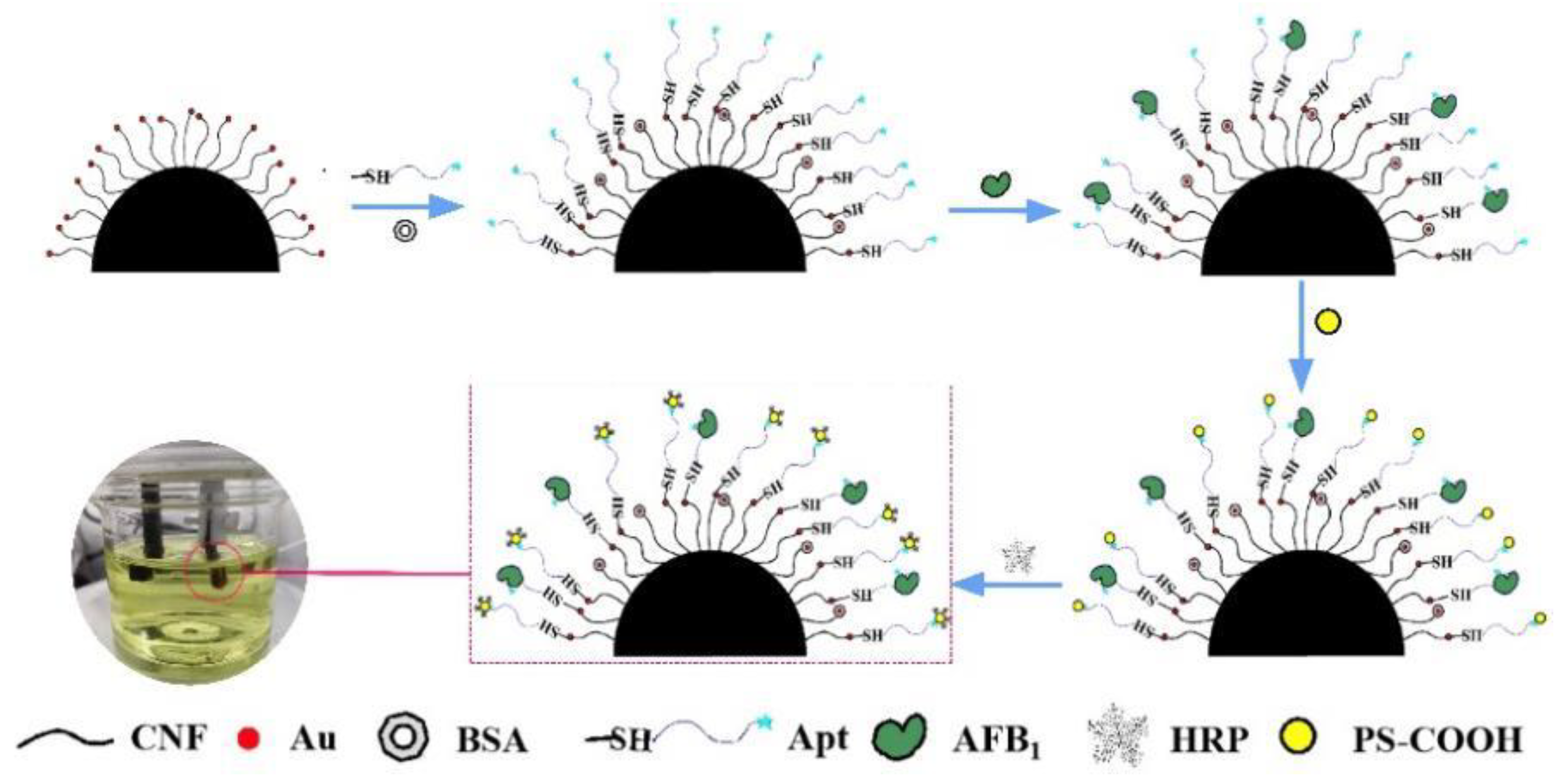 Biosensors 12 00897 sch001 Biosensors 12 00897 sch001