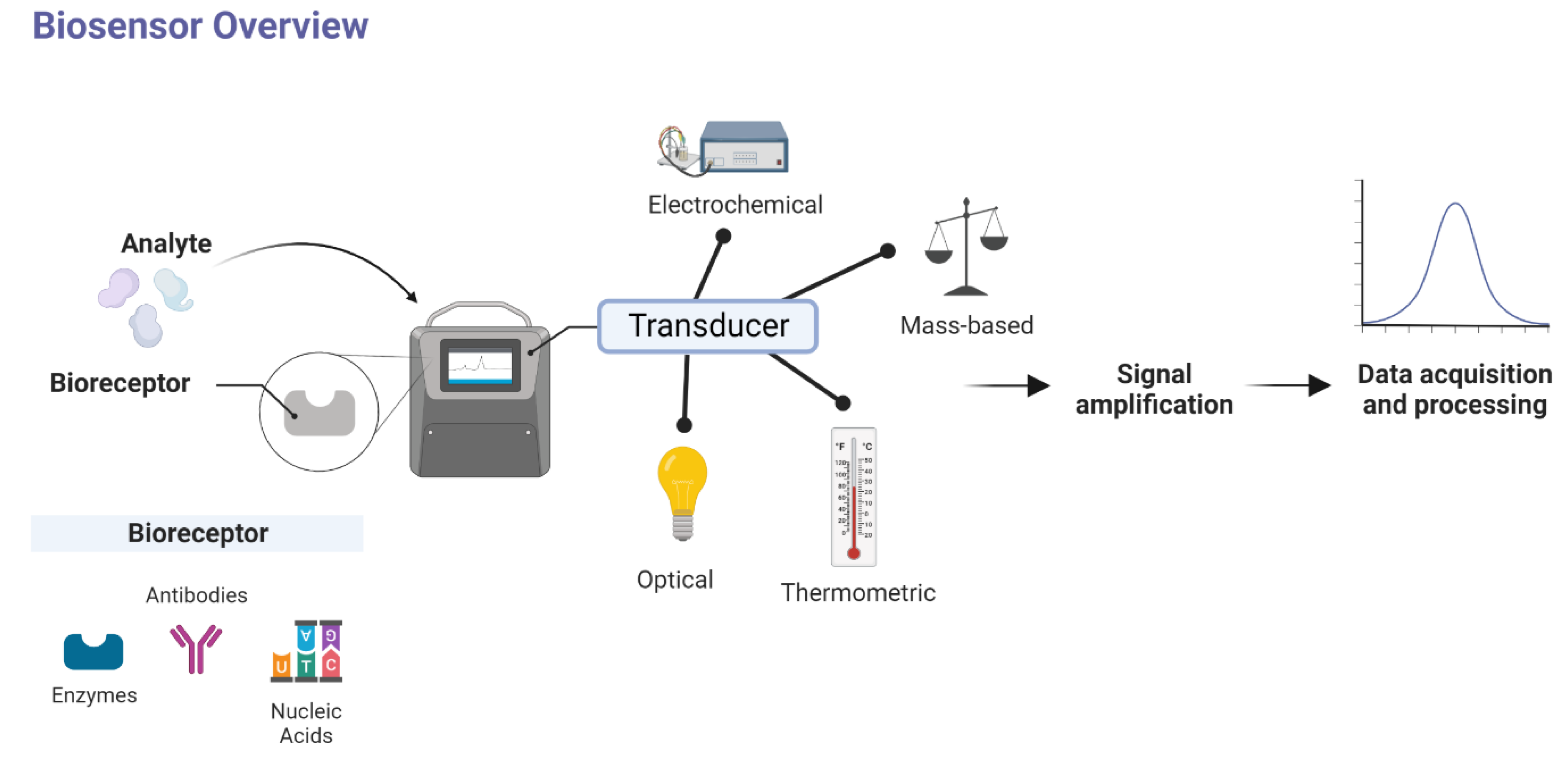 Biosensors 12 00898 g002