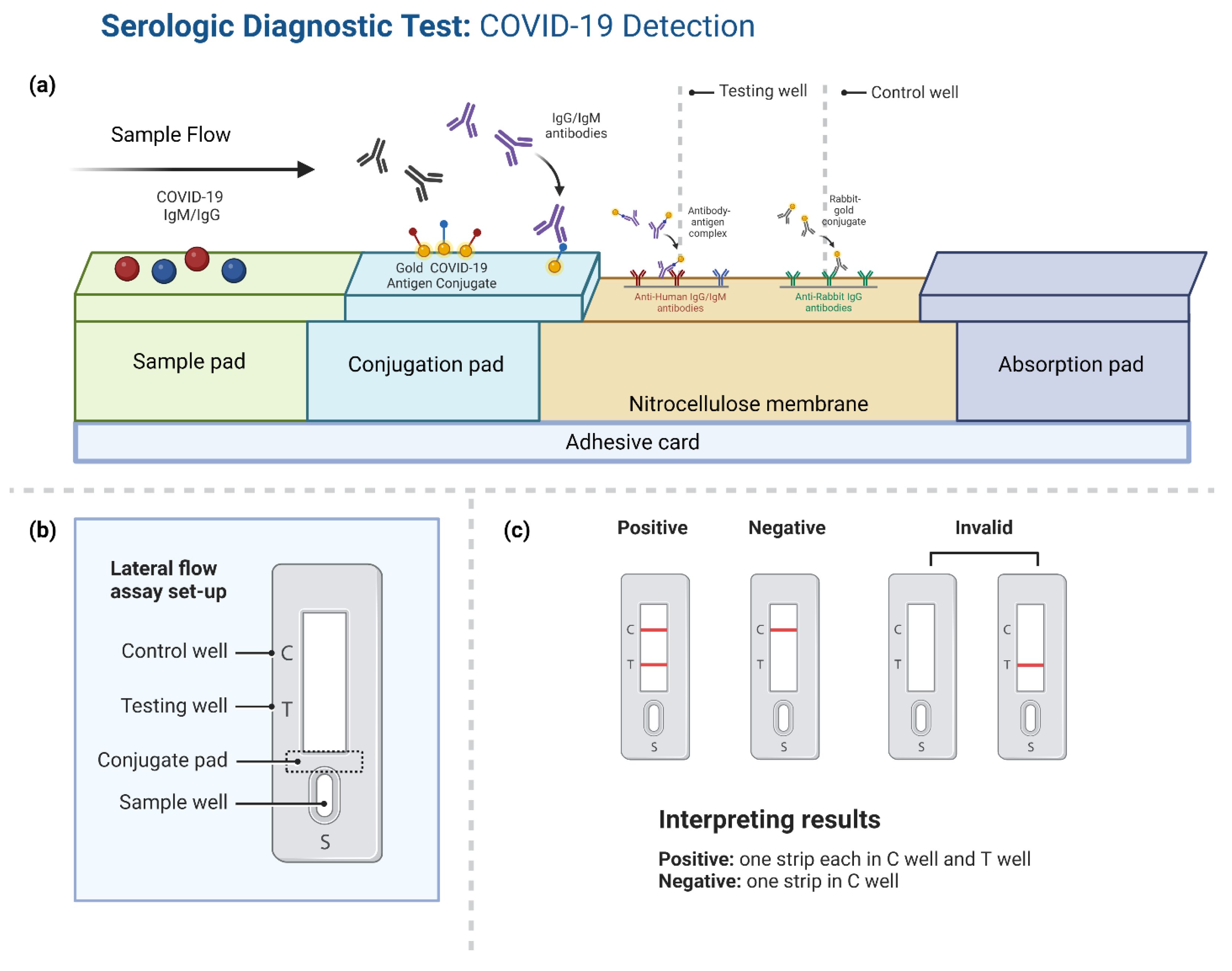 Biosensors 12 00898 g005
