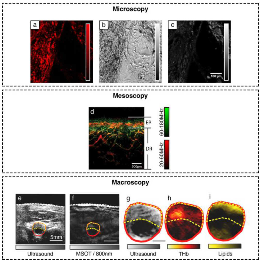 Biosensors 12 00901 g002
