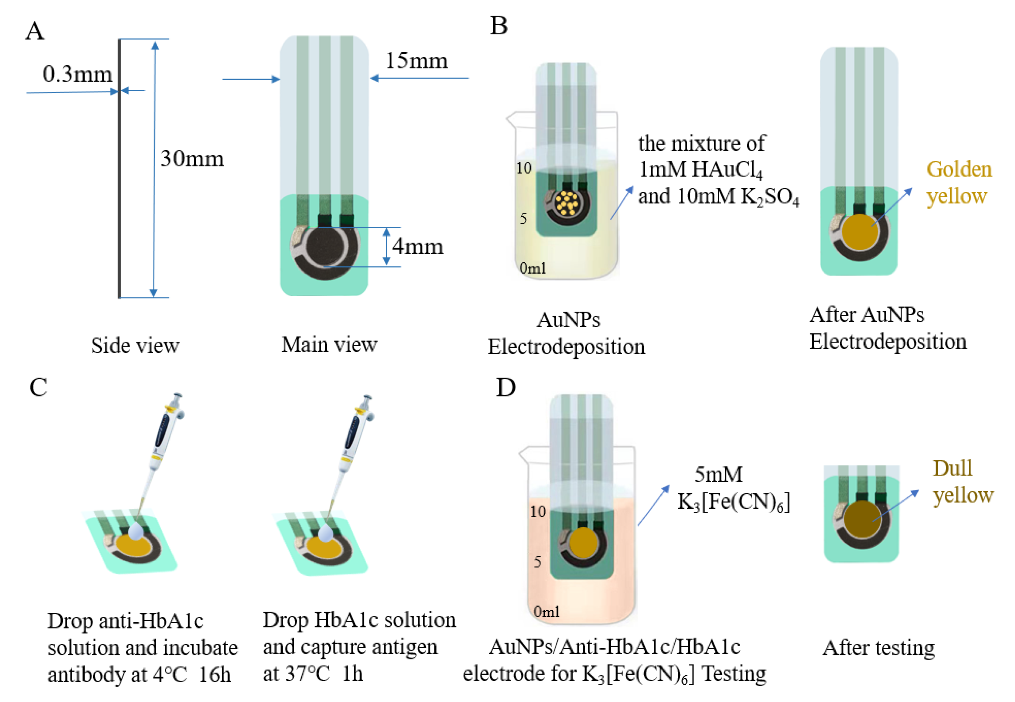Biosensors 12 00902 g001