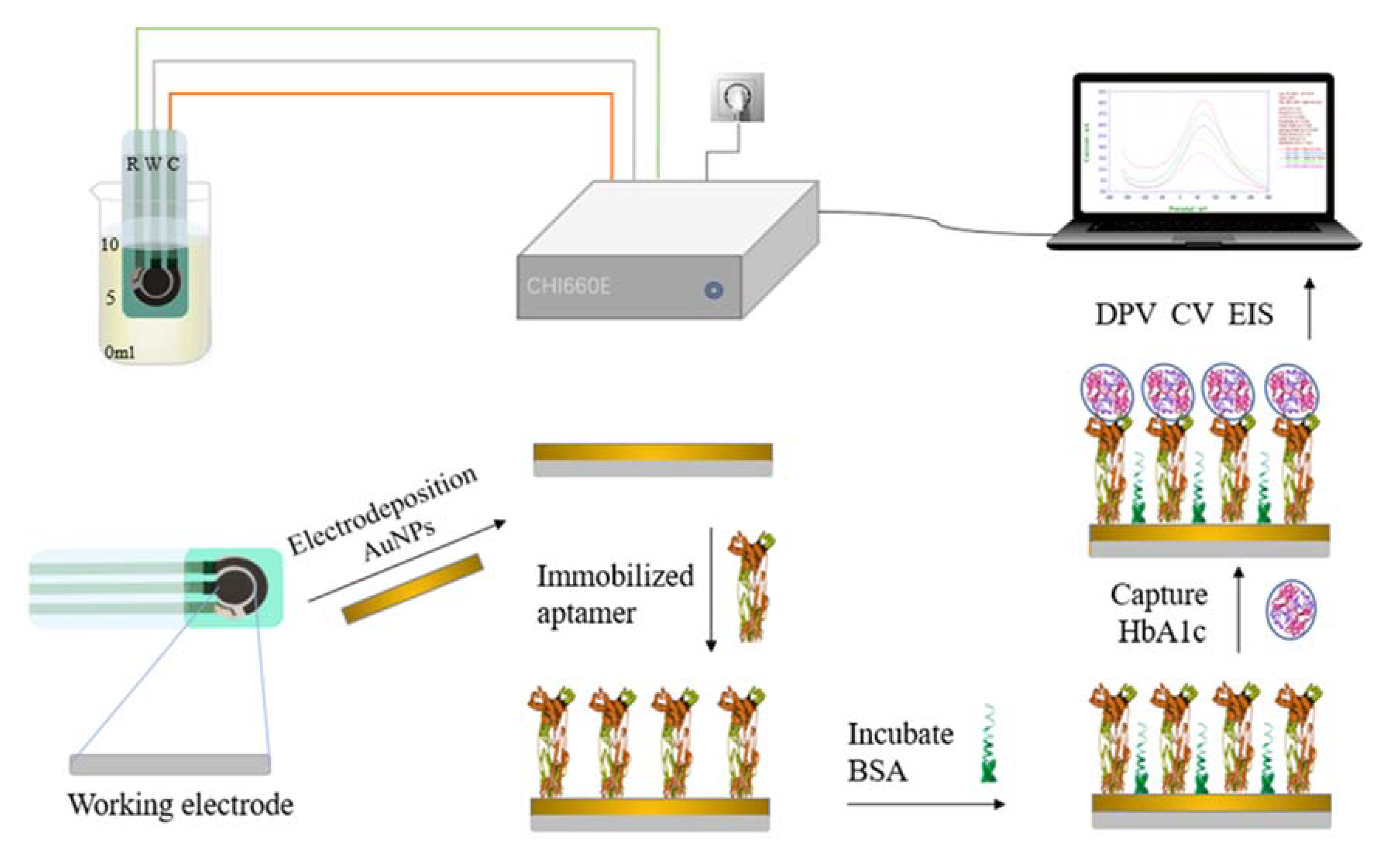 Biosensors 12 00902 g002