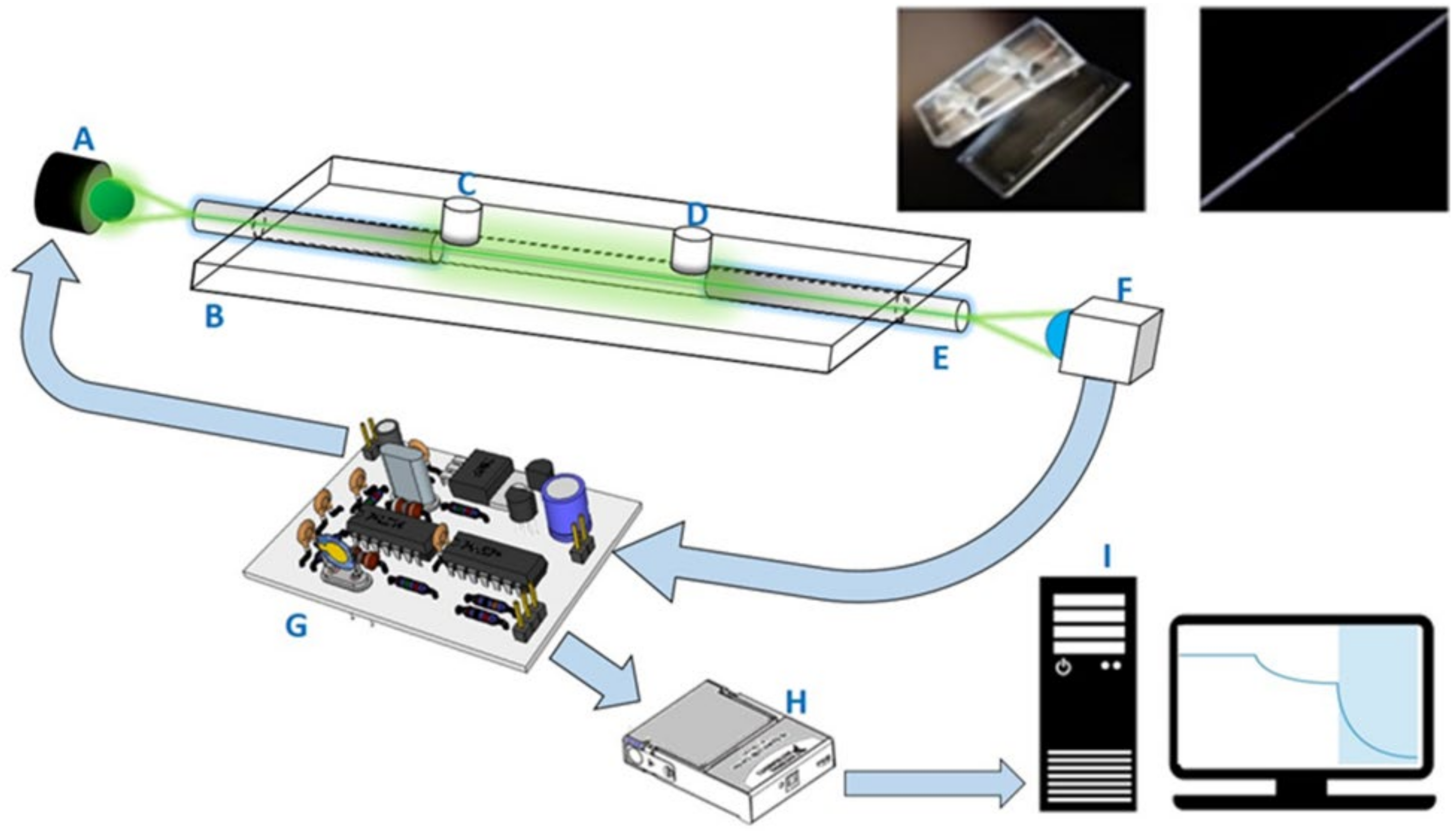 Biosensors 12 00907 g001 Biosensors 12 00907 g001