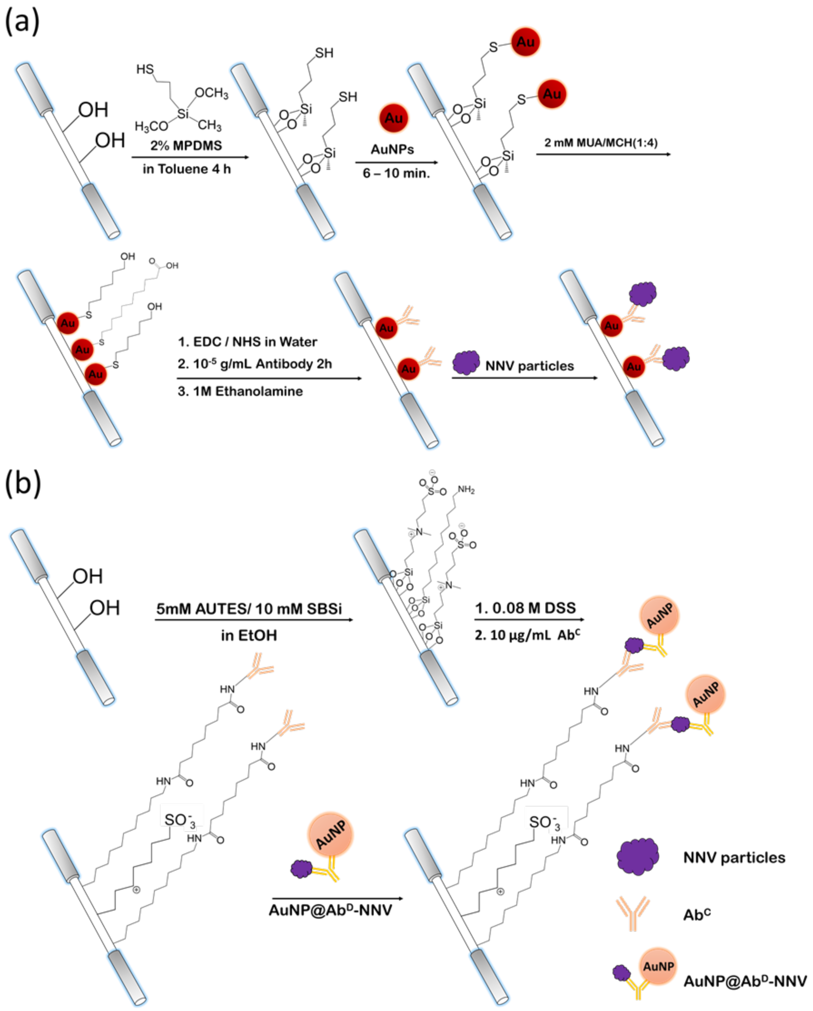 Biosensors 12 00907 sch001 Biosensors 12 00907 sch001