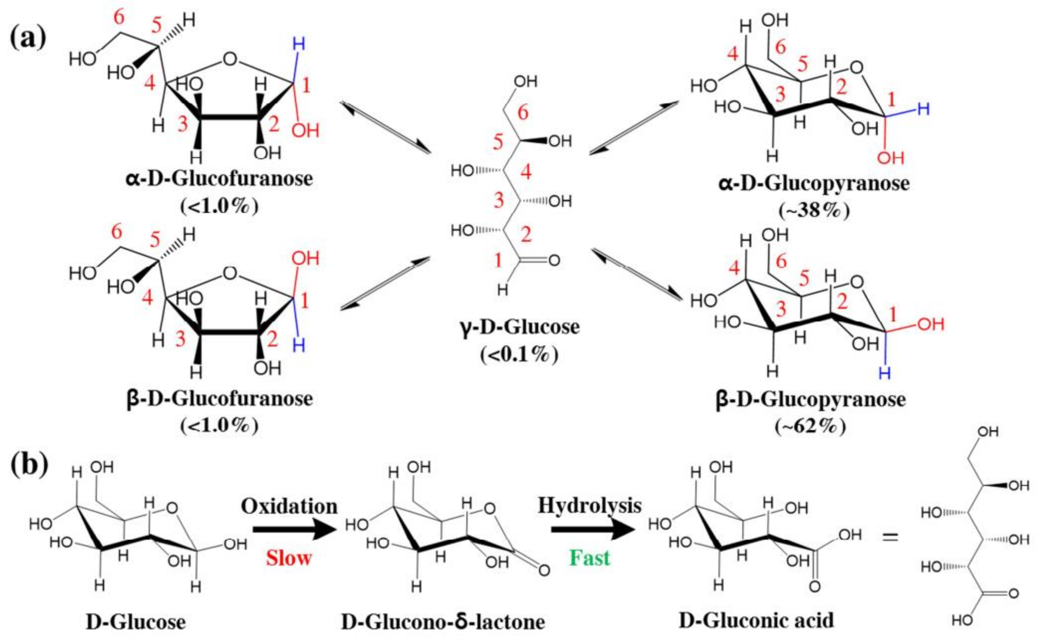 Biosensors 12 00910 g020