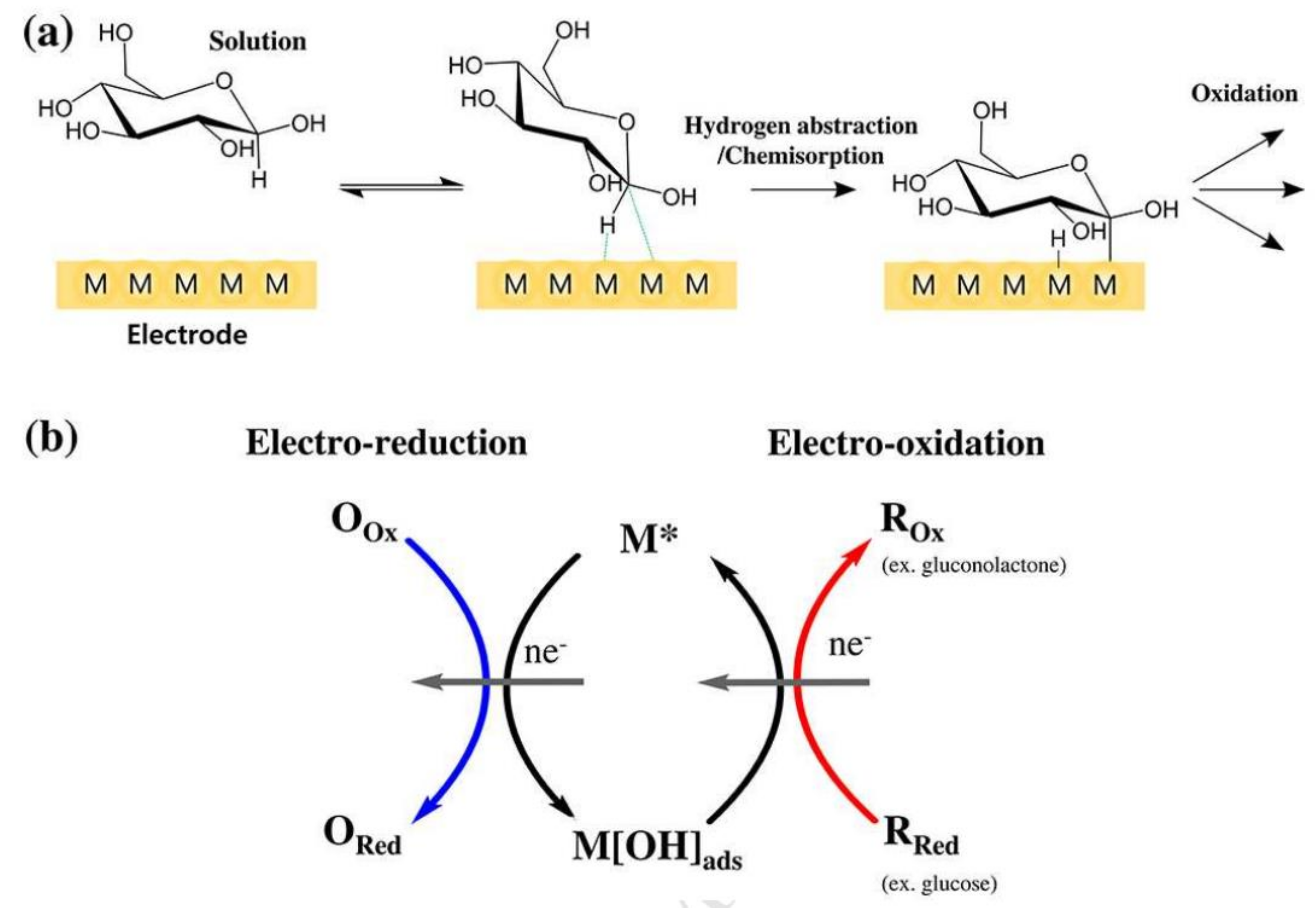 Biosensors 12 00910 g021