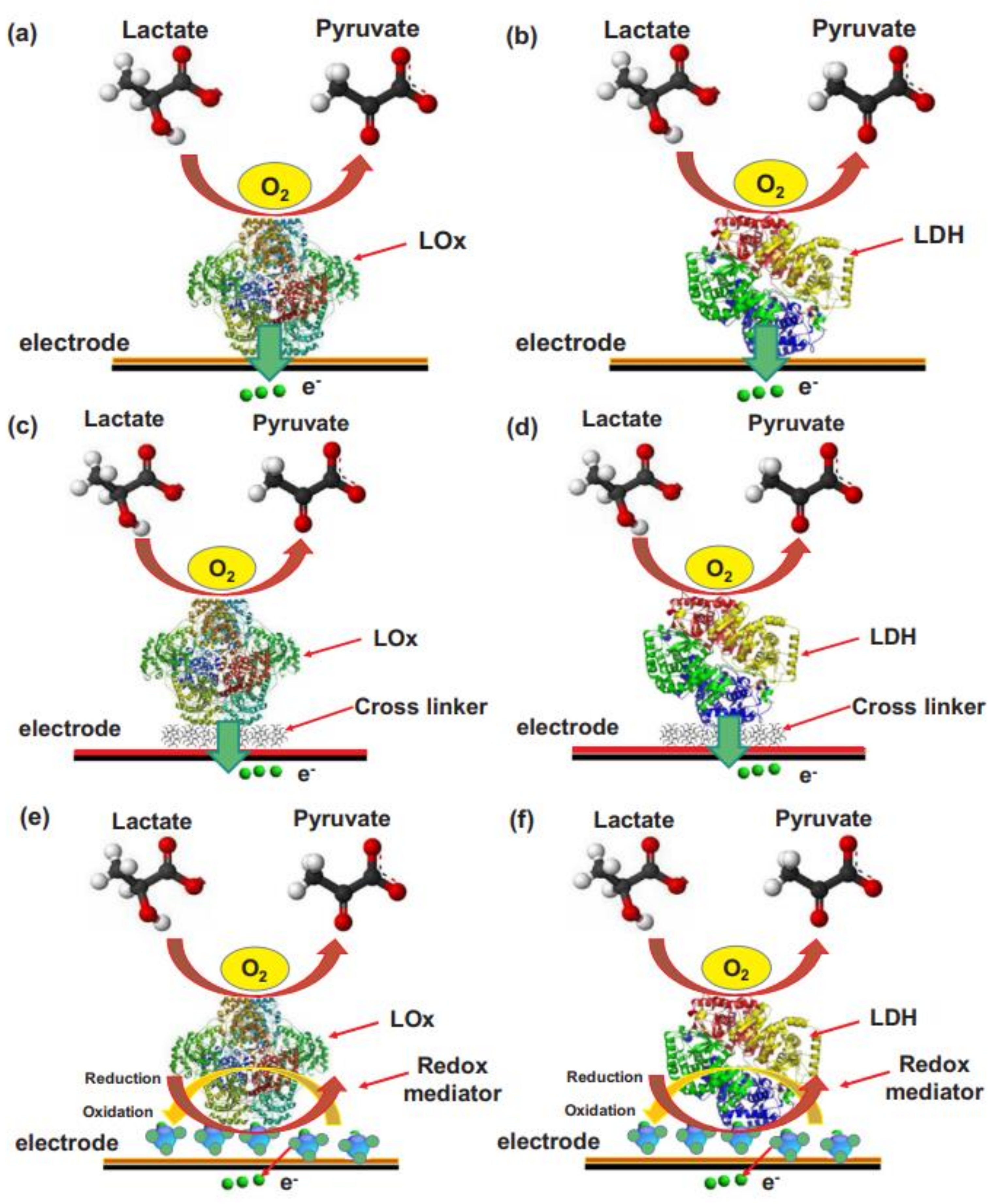 Biosensors 12 00910 g025