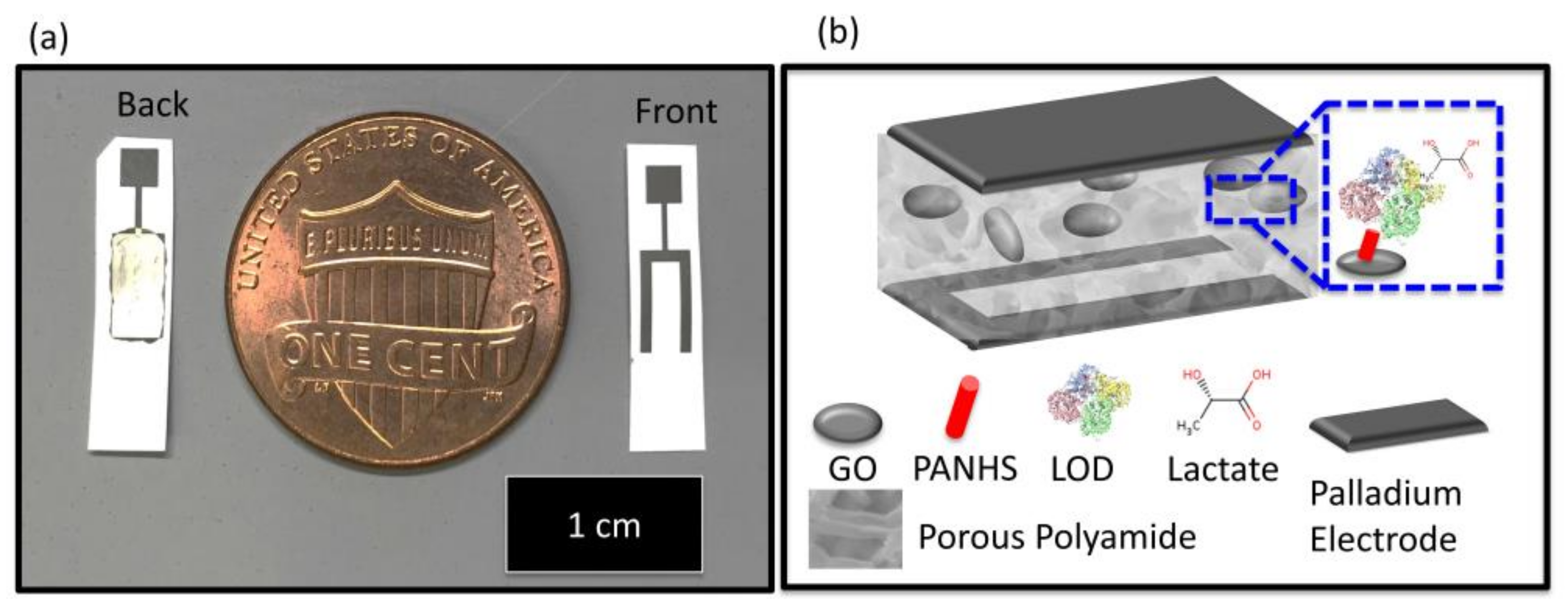 Biosensors 12 00910 g026