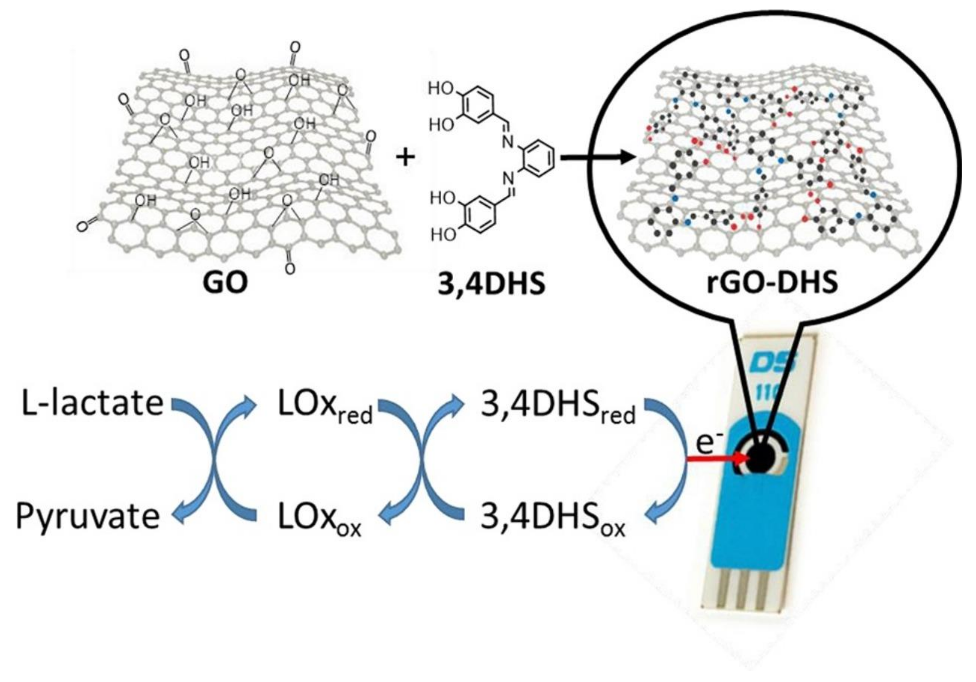 Biosensors 12 00910 g027